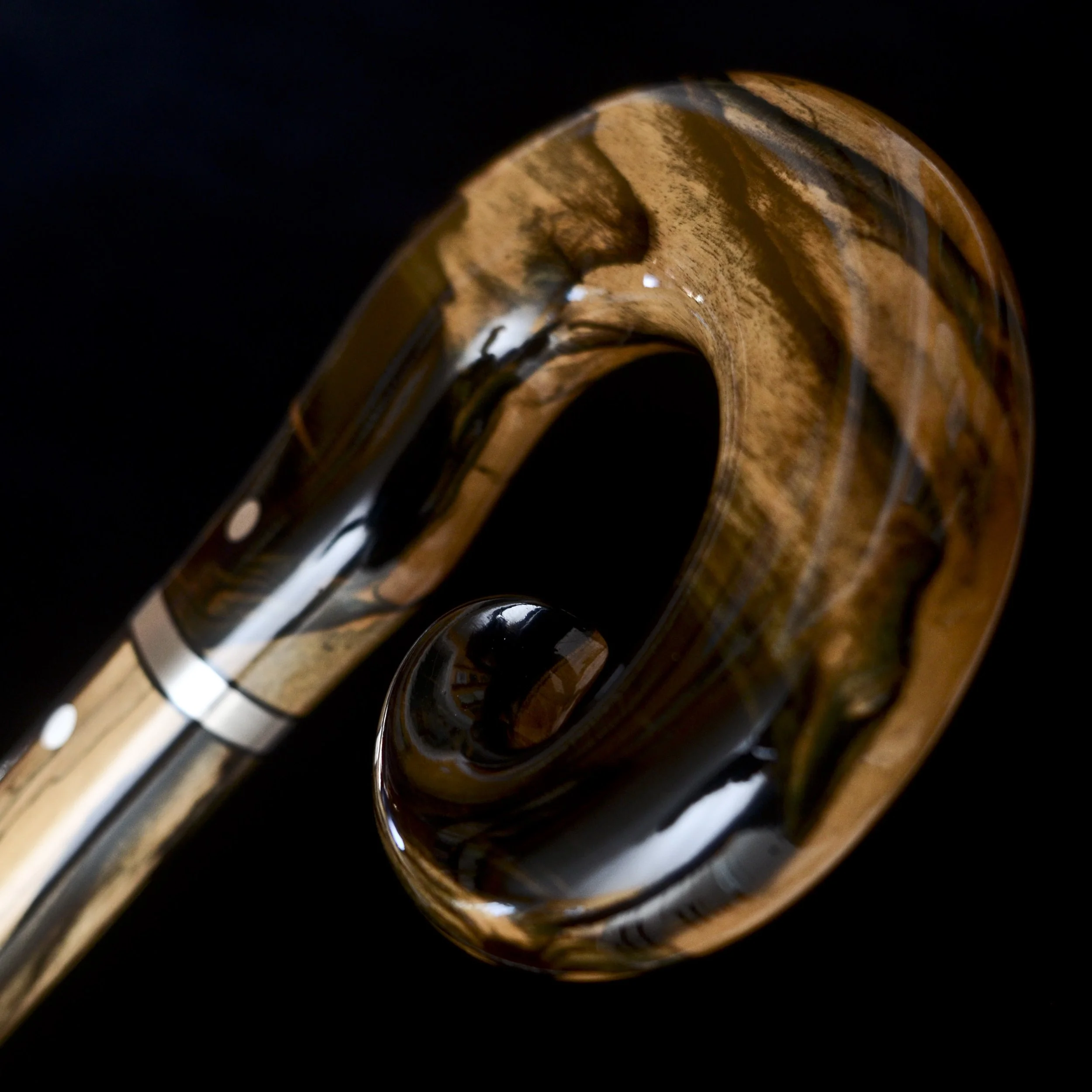Black and white ebony 8.jpg