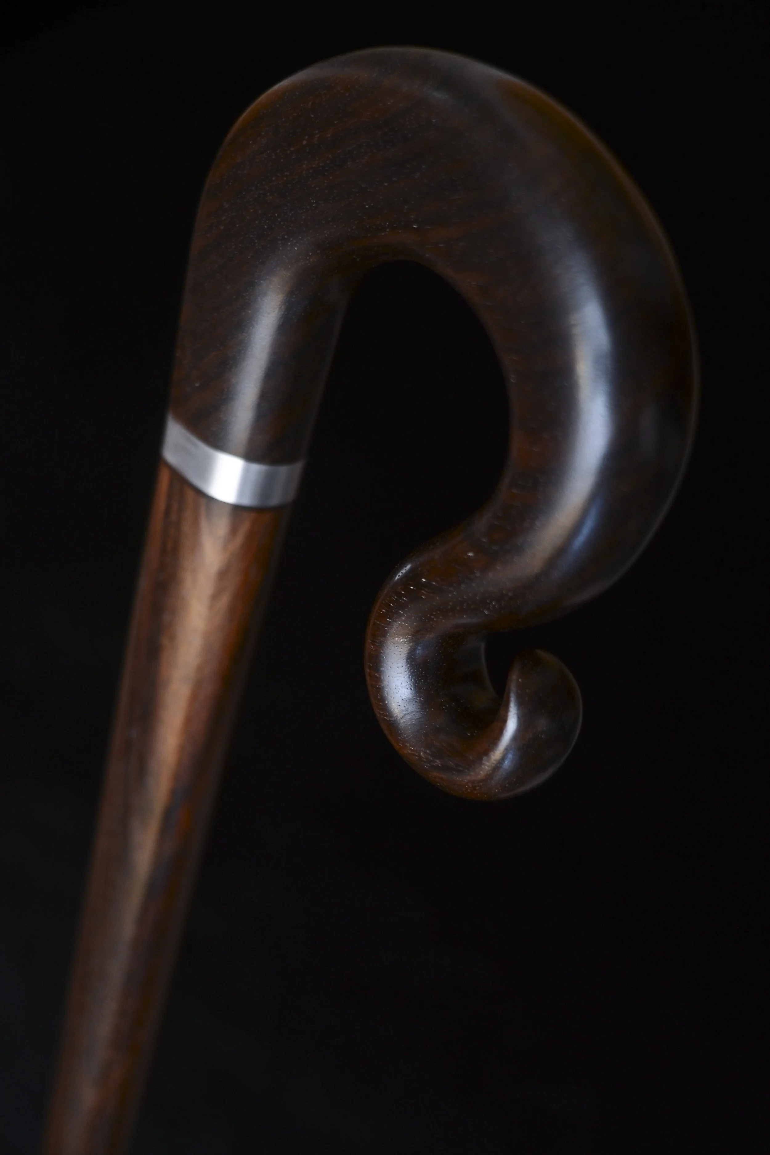 EIR Curl 4.jpg