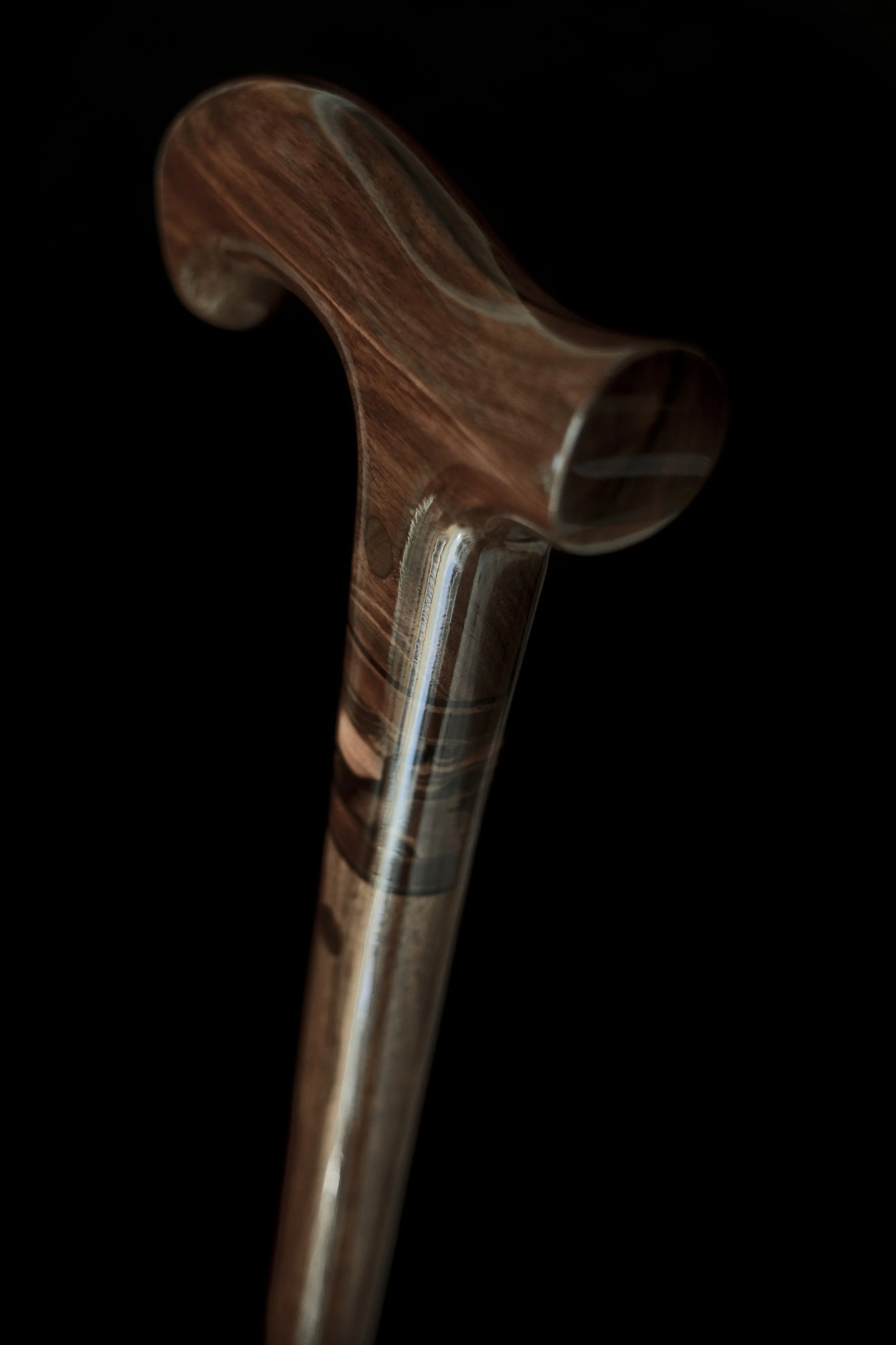 Kalimantan Ebony 3.jpg