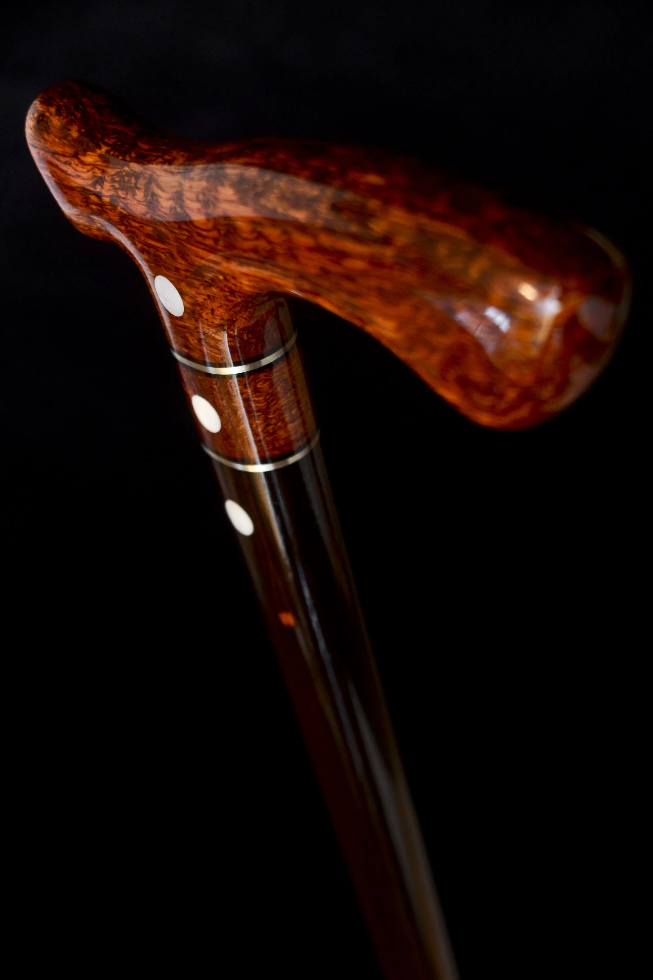 Flame Siam, Ebony 4.jpg