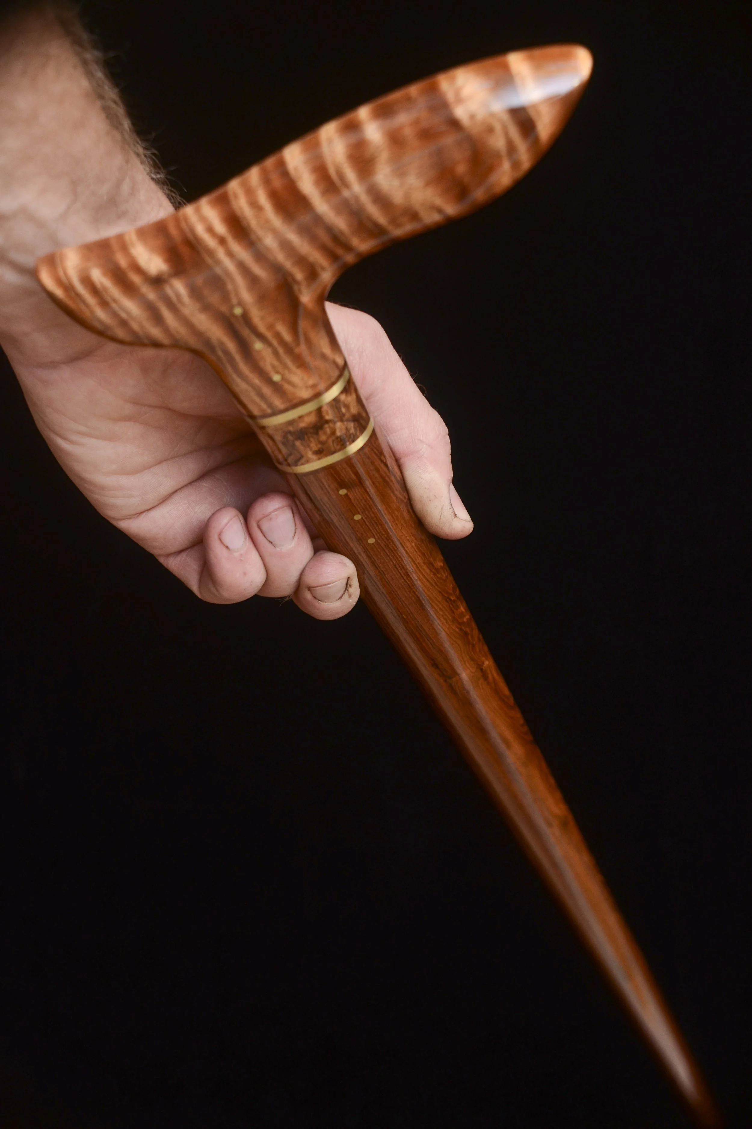 Blackwood, Honduran 8.jpg