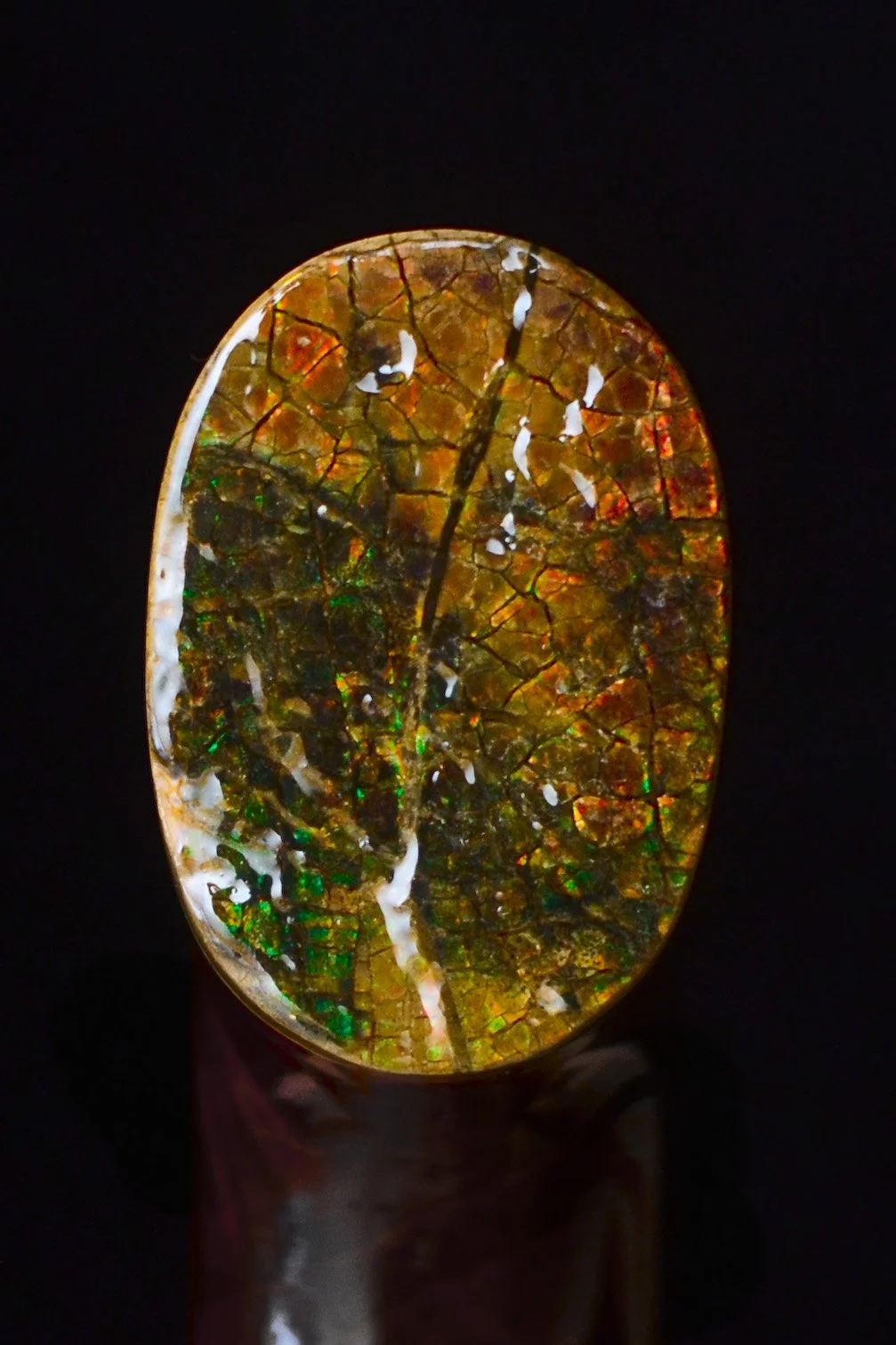 Rings Gidgee, Verawood, Ammolite 10.jpg