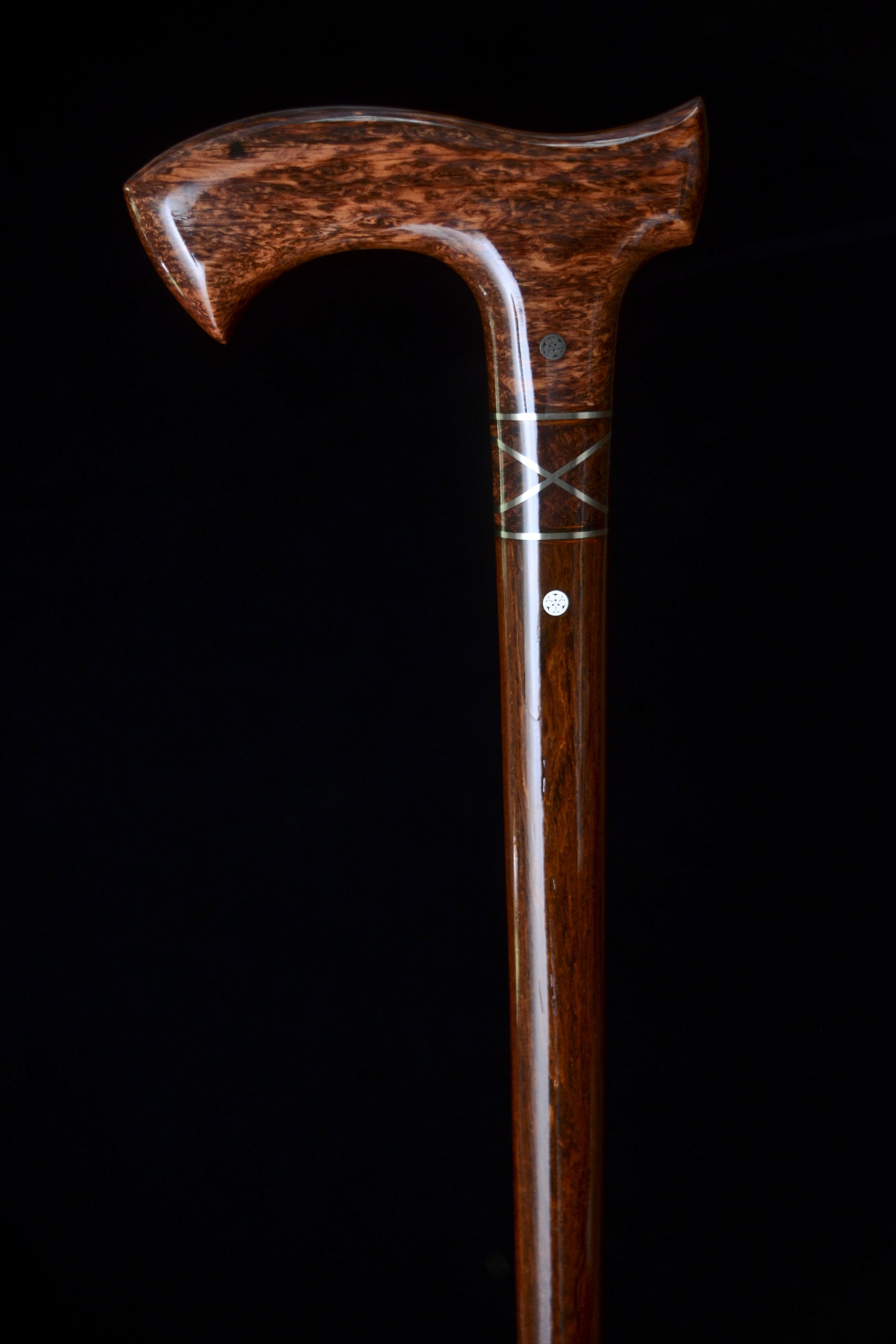 Siamese, Cocobolo 2.jpg