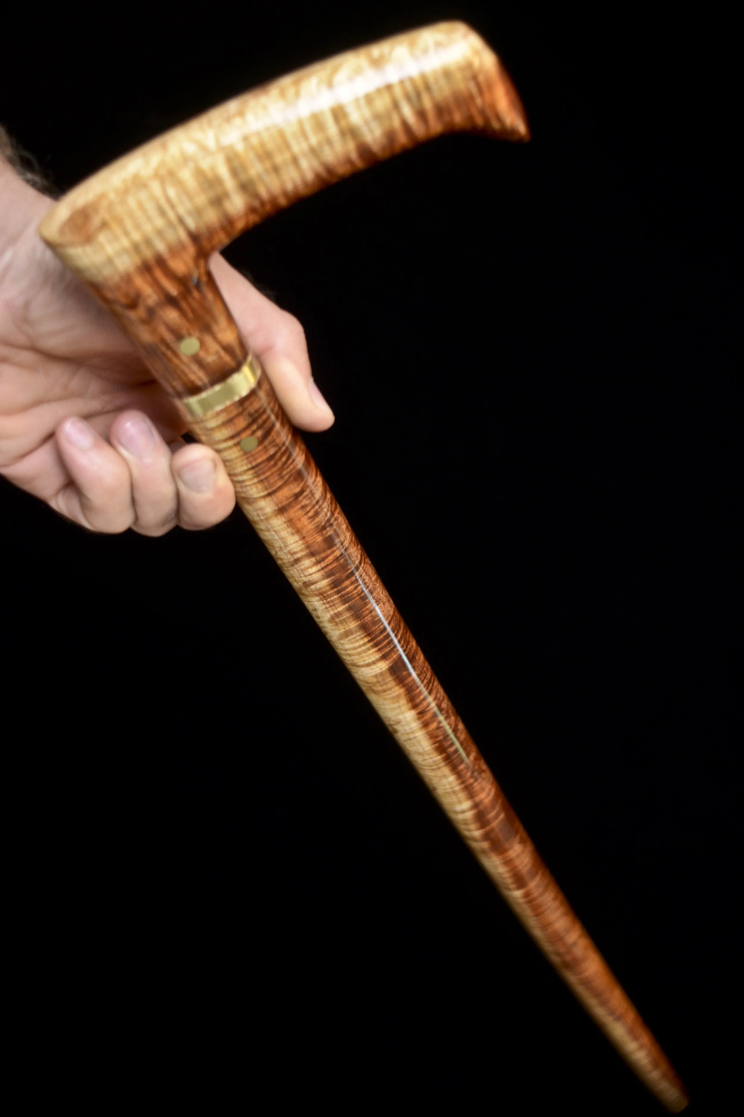 Tasmanian Blackwood 12.jpg
