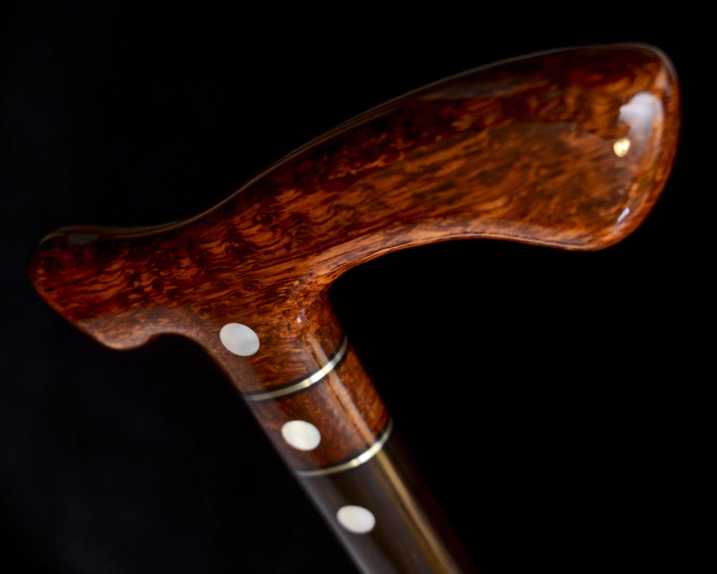 Flame Siam, Ebony 10.jpg