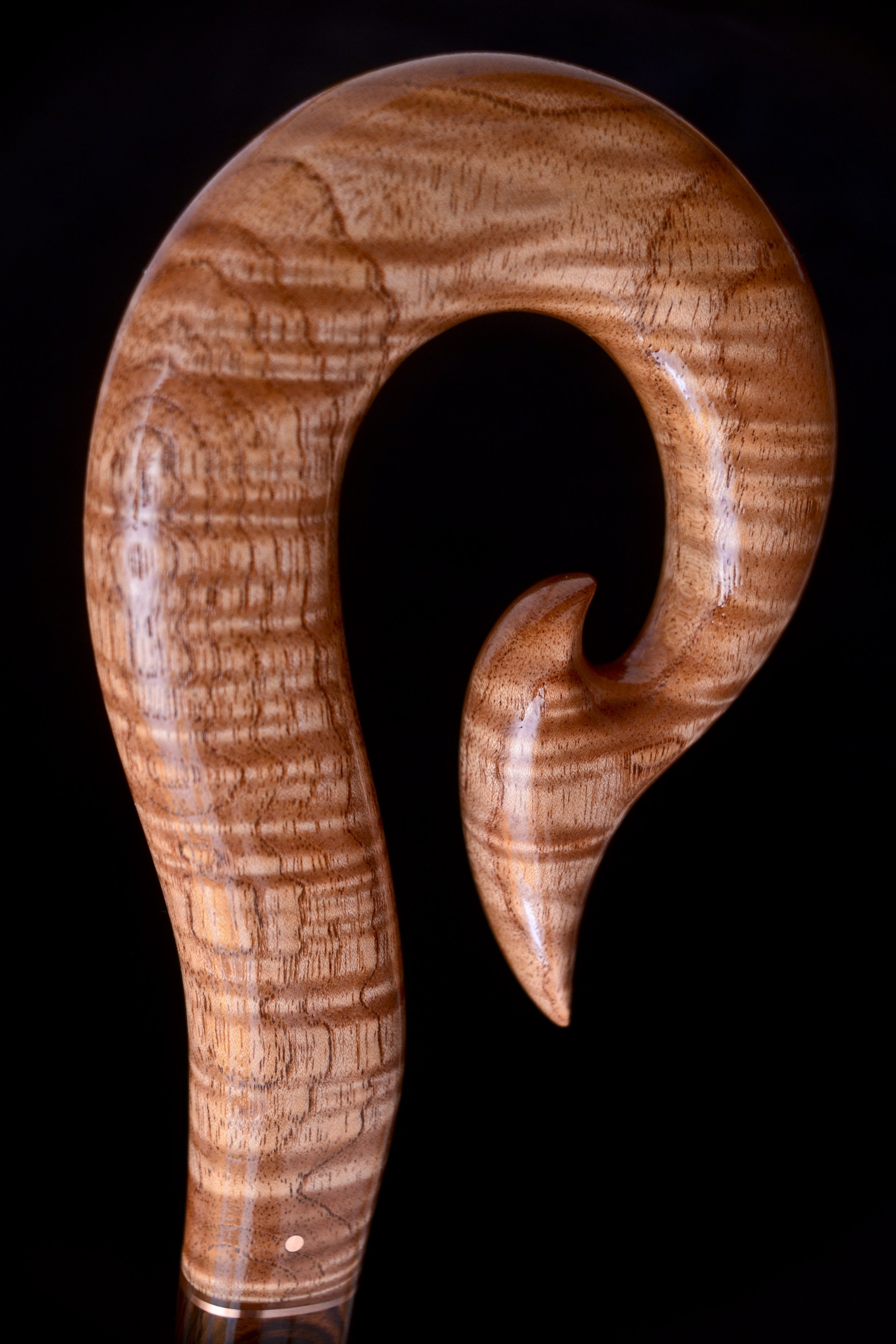 Toona sureni, Makore 8.jpg