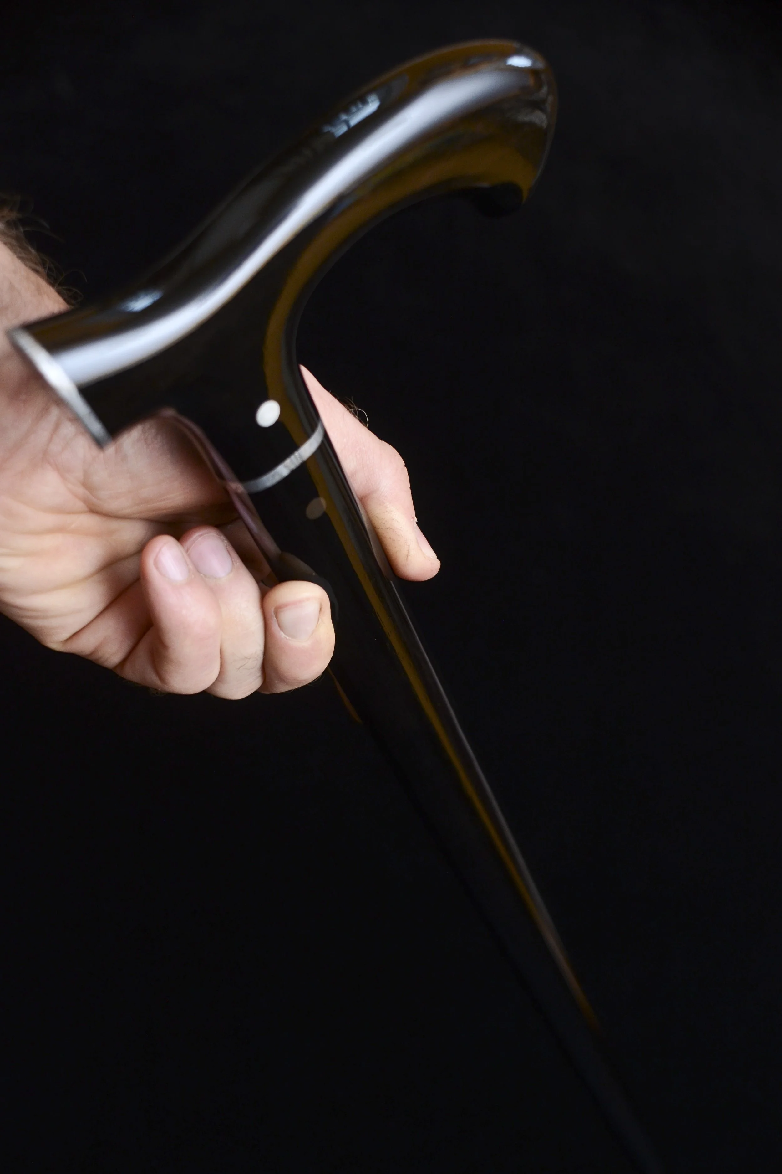 Ebony, Meteorite 16.jpg