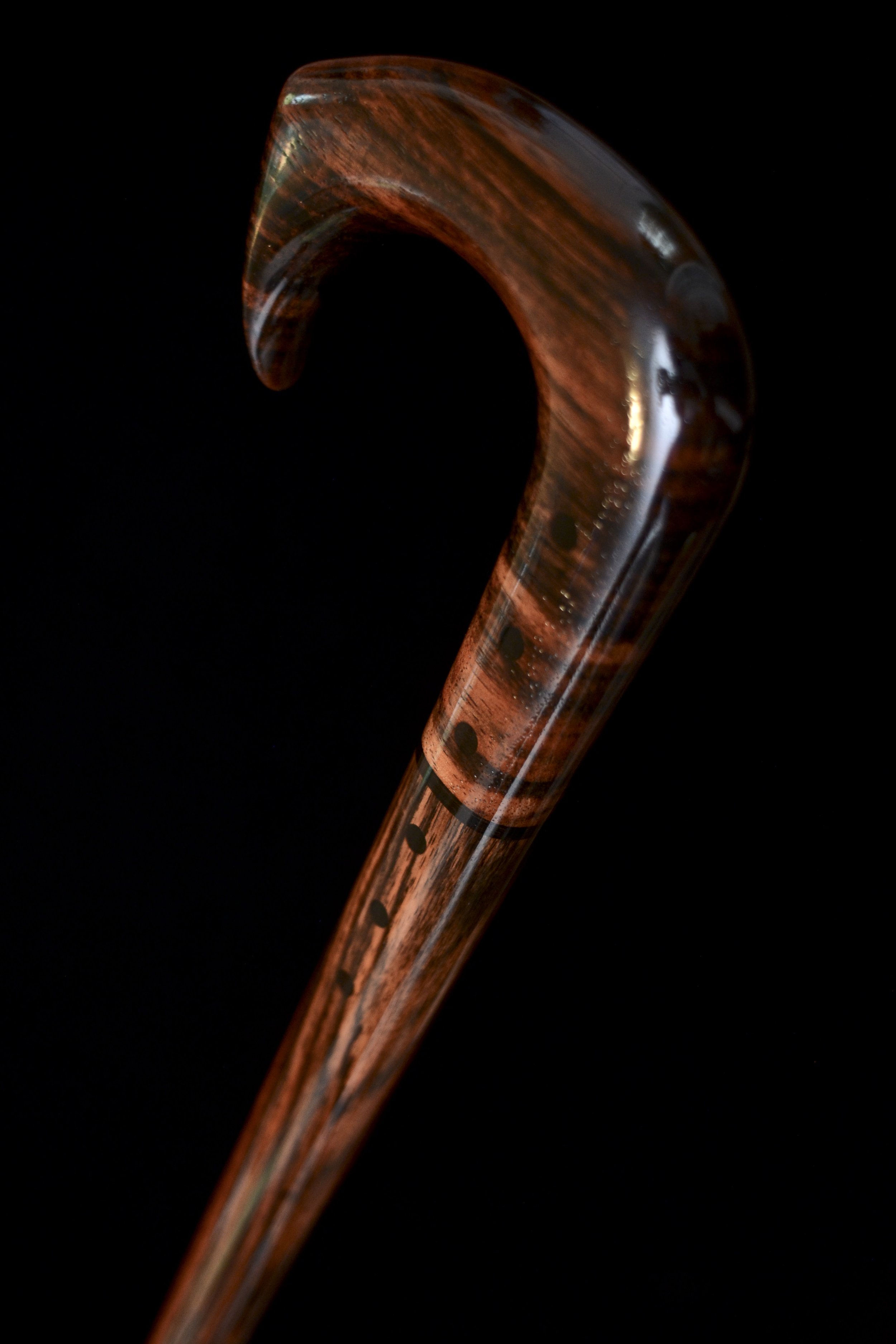 Ebony Talon 3.jpg