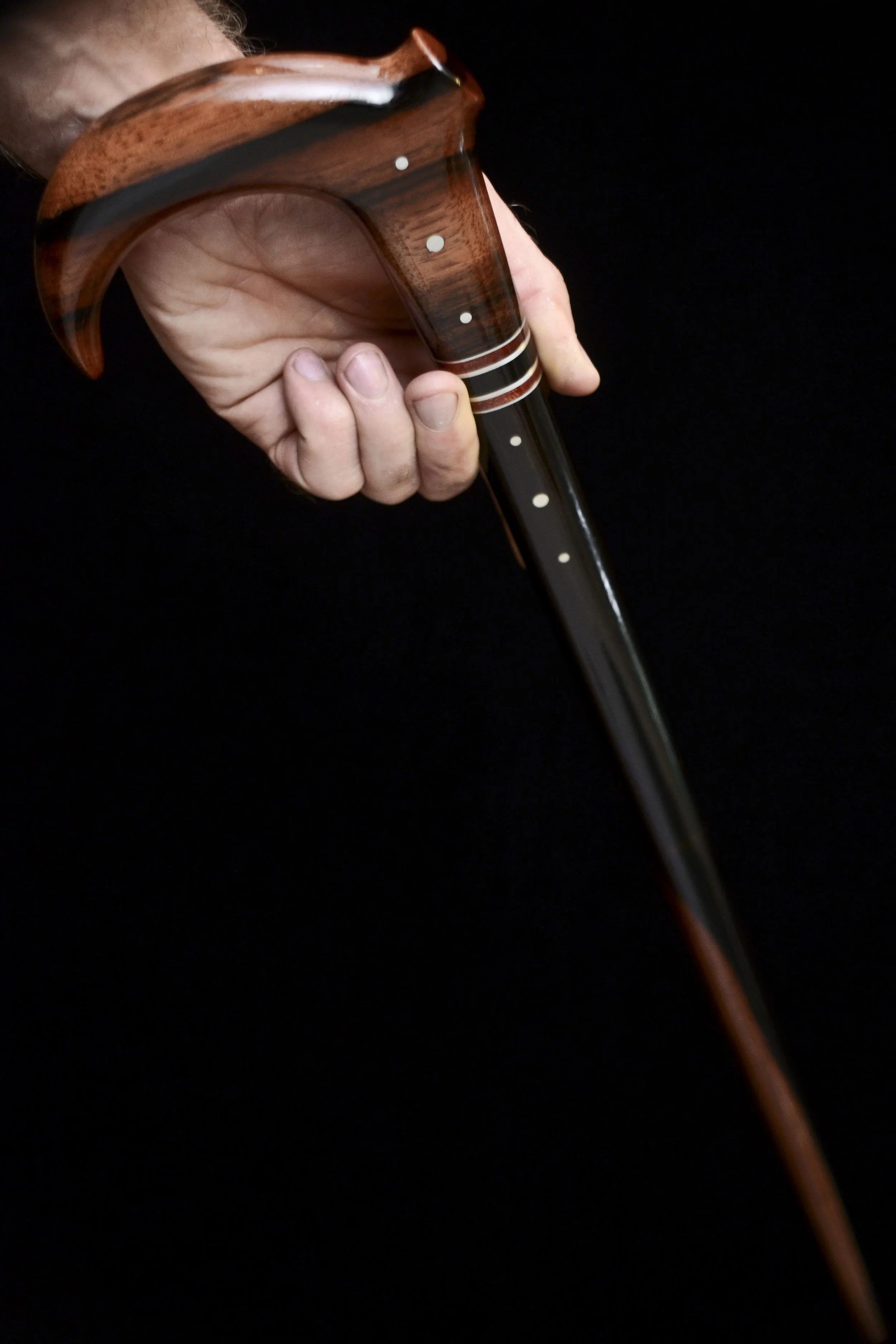Ebony claw 13.jpg