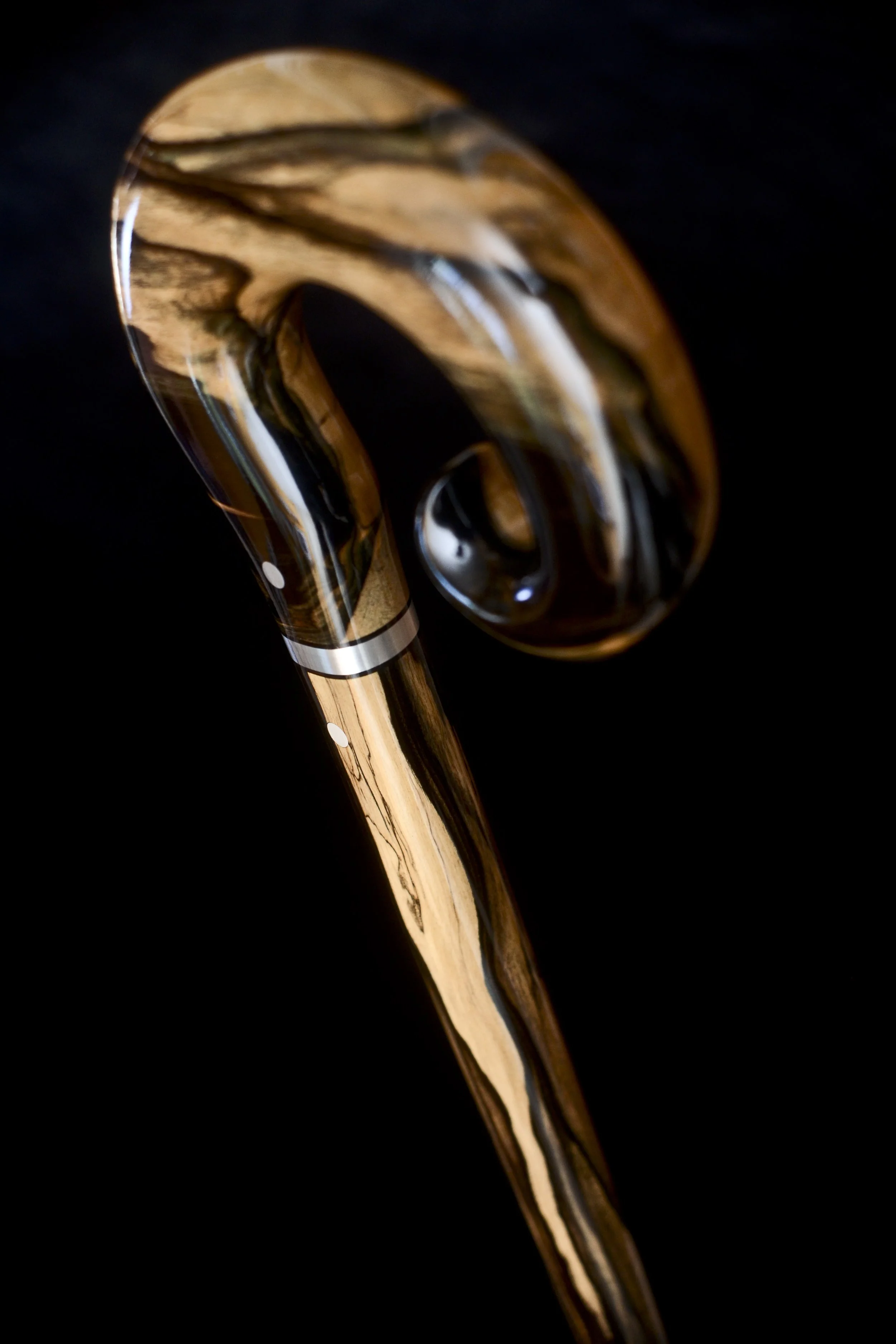 Black and white ebony 4.jpg