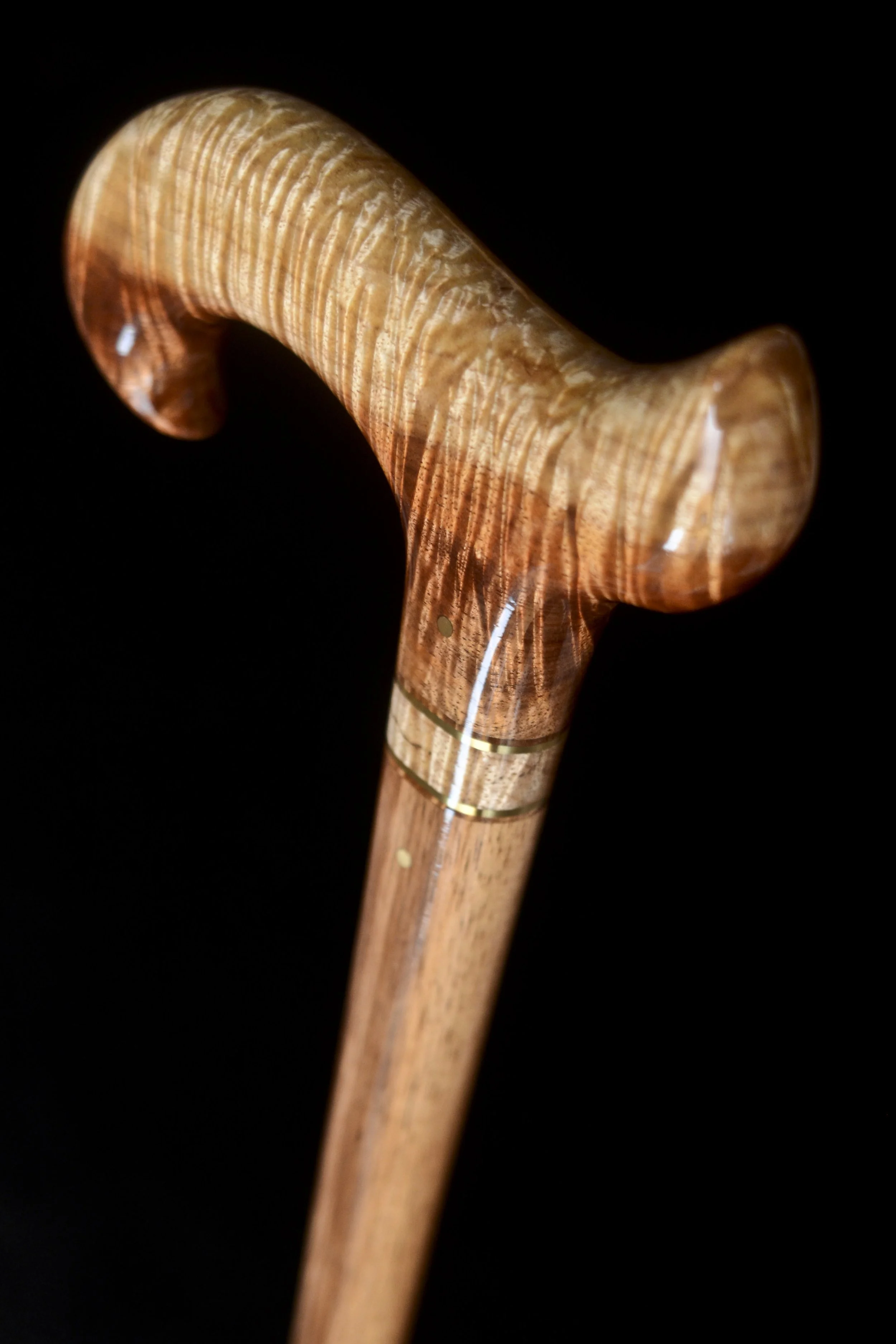 Tasmanian Blackwood 3.jpg