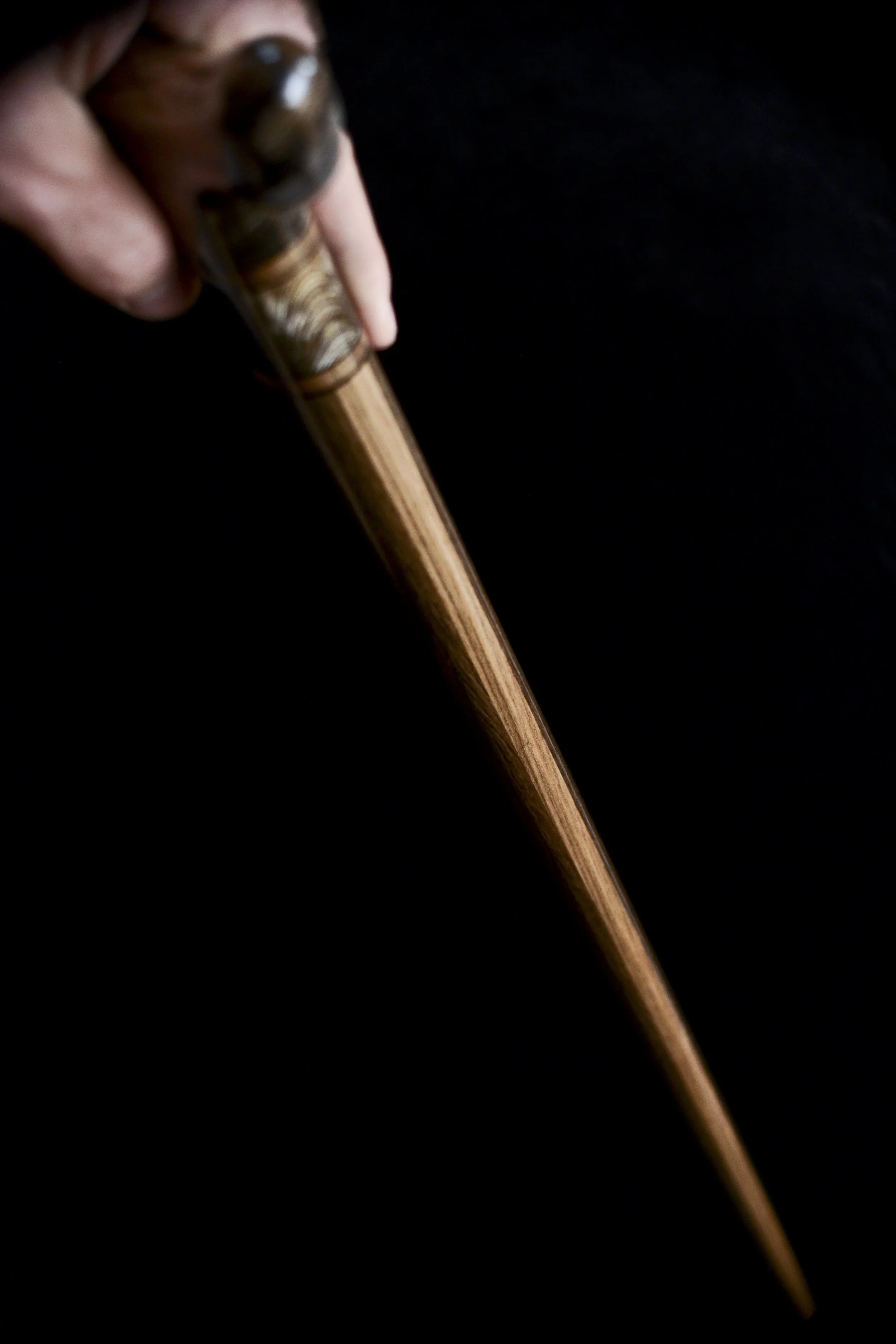 Sinker Cypress, Bog Oak, Jindai Nire, Dinosaur bone 17.jpg