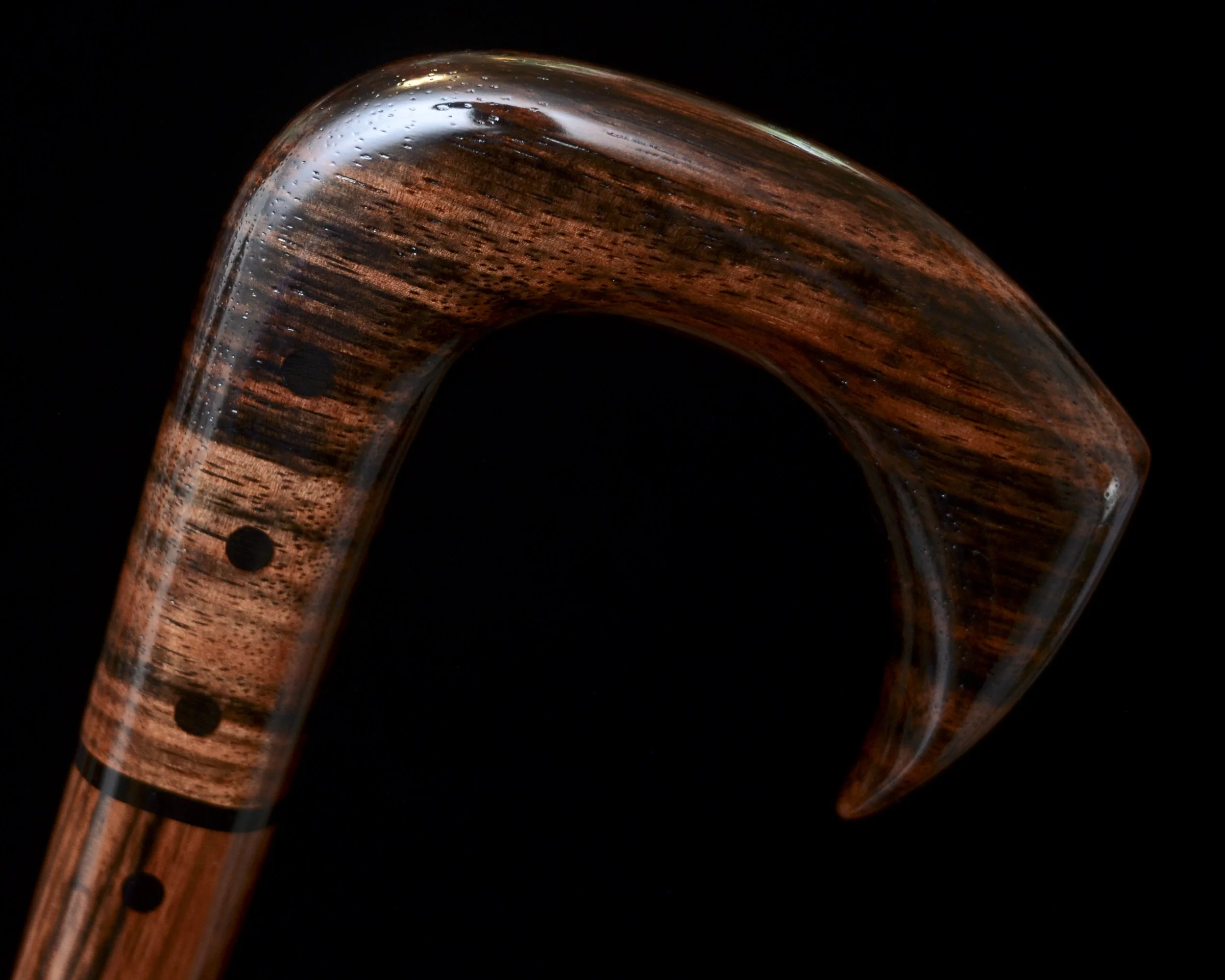 Ebony Talon 7.jpg