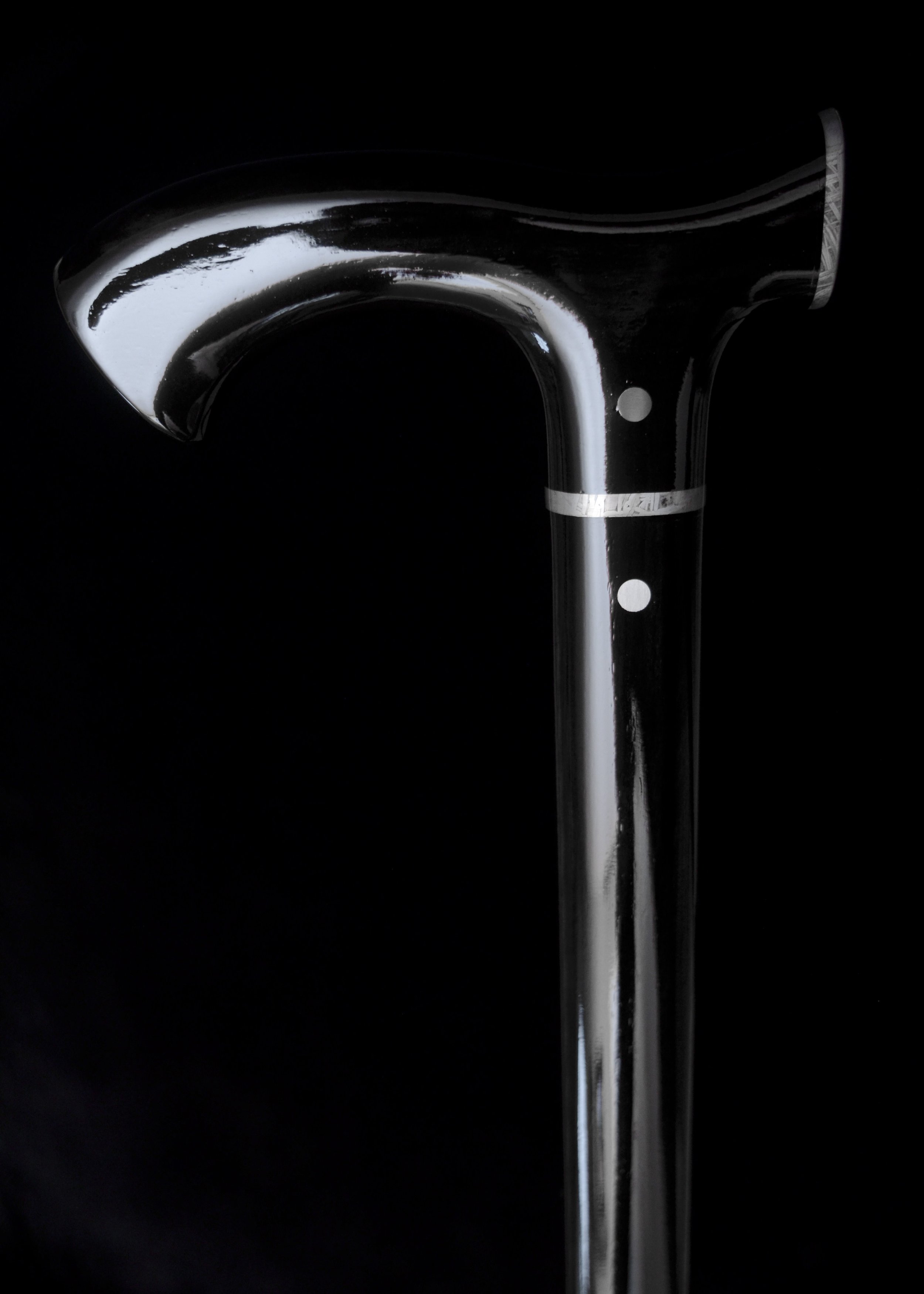 Ebony, Meteorite 2.jpg