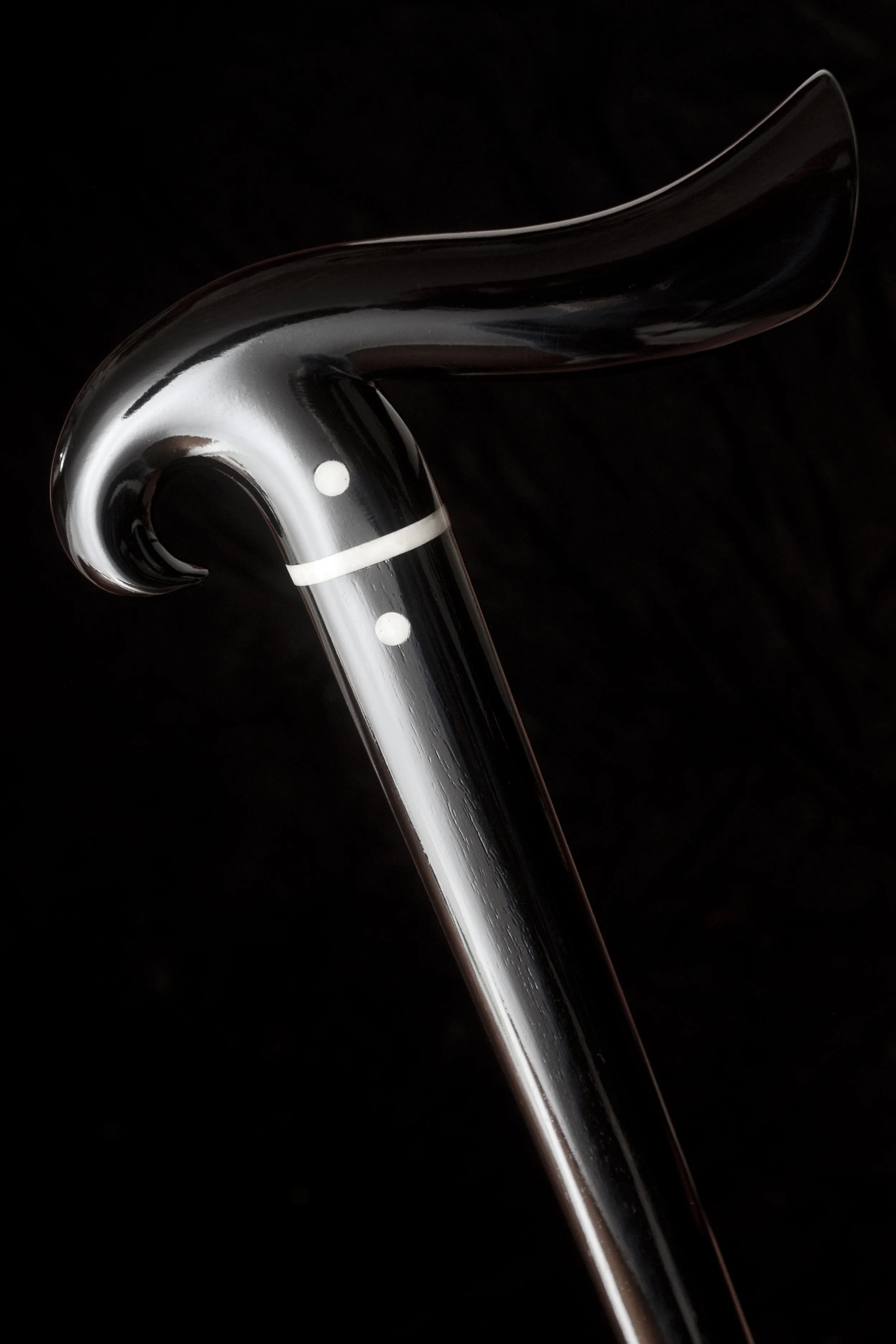 Ebony Camel Bone 1.jpg