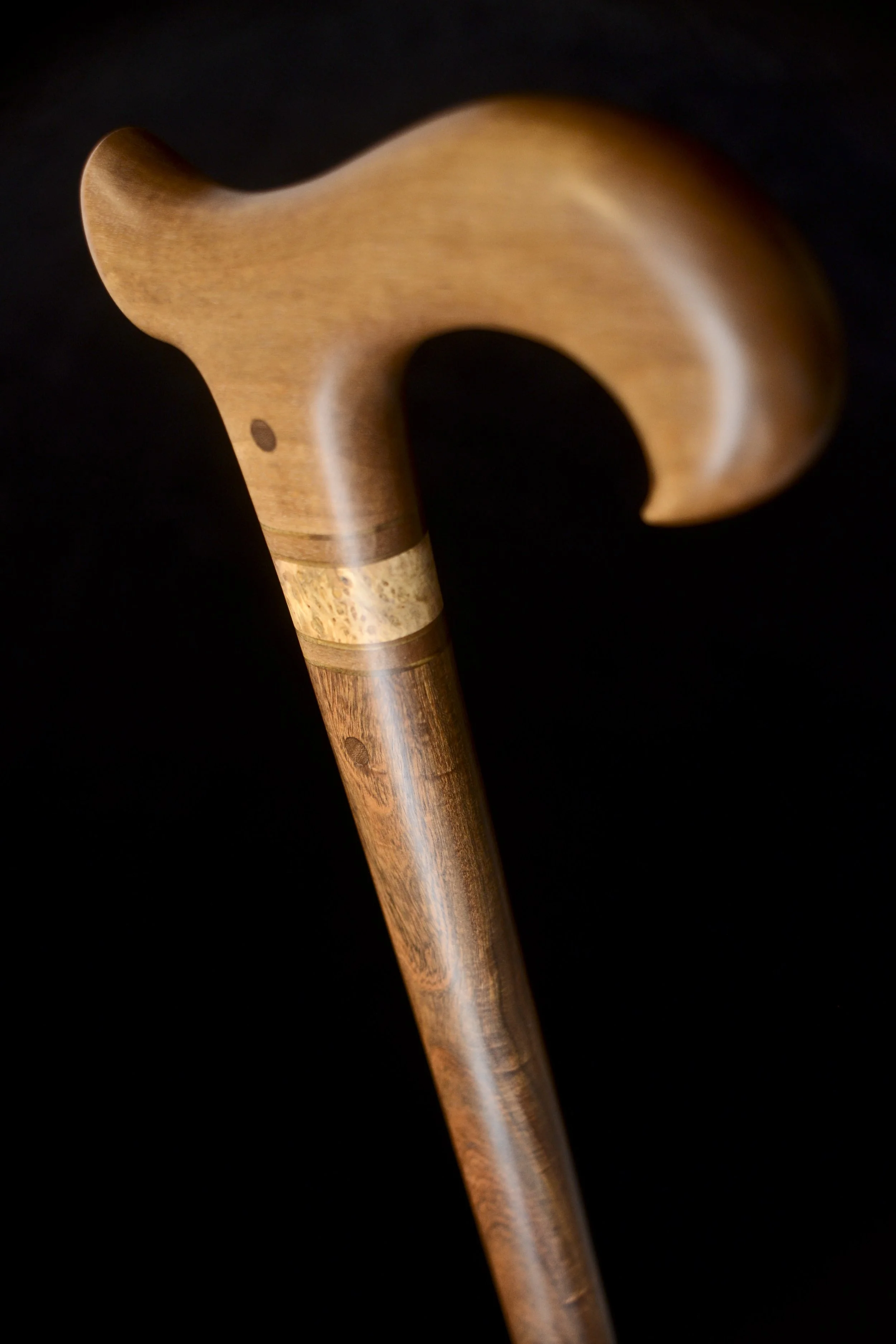 Sinker Birch, Ipe 4.jpg