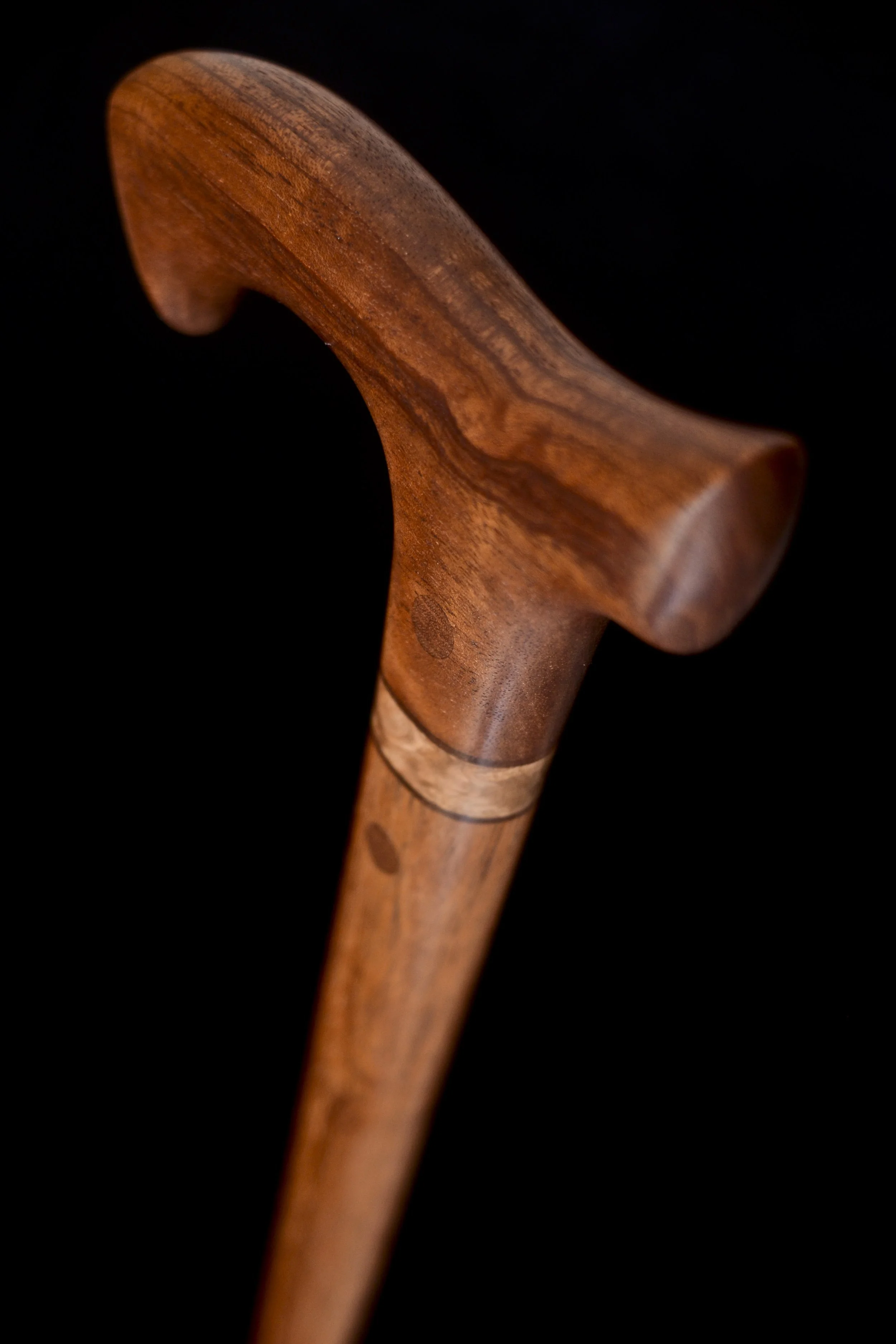 Brazilian Mahogany, Tzalam 3.jpg