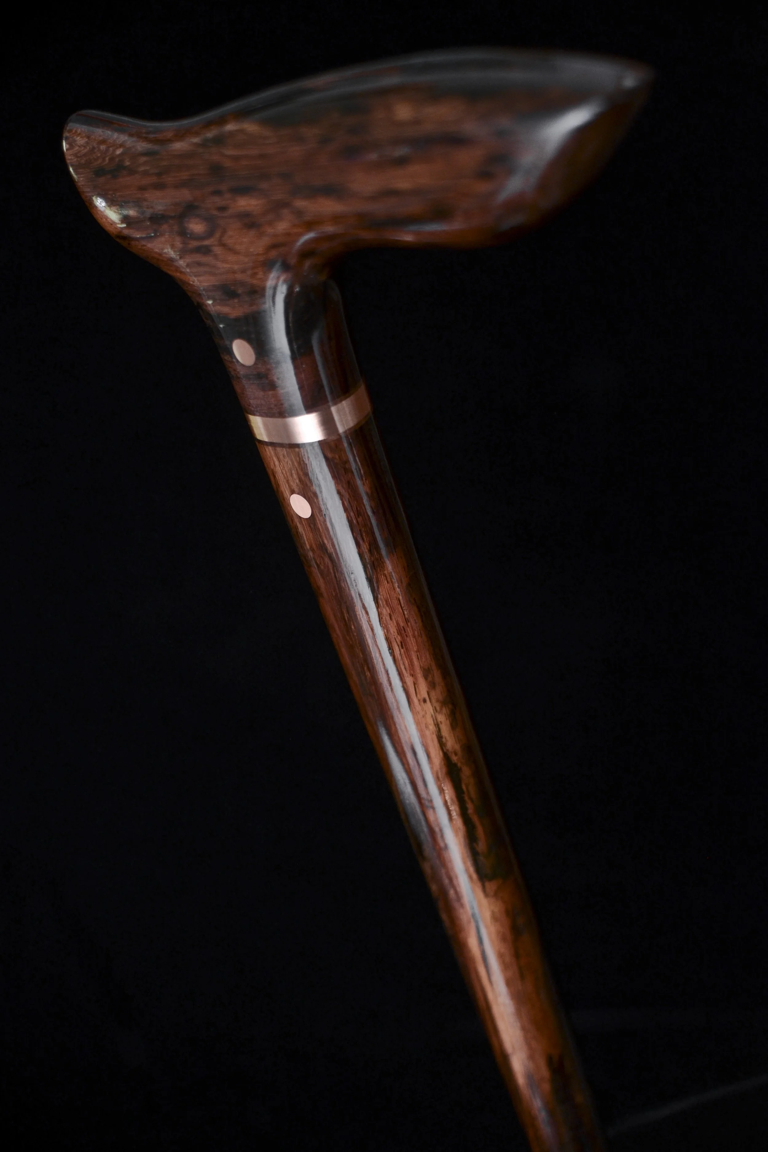 Lanceolaria 4.jpg