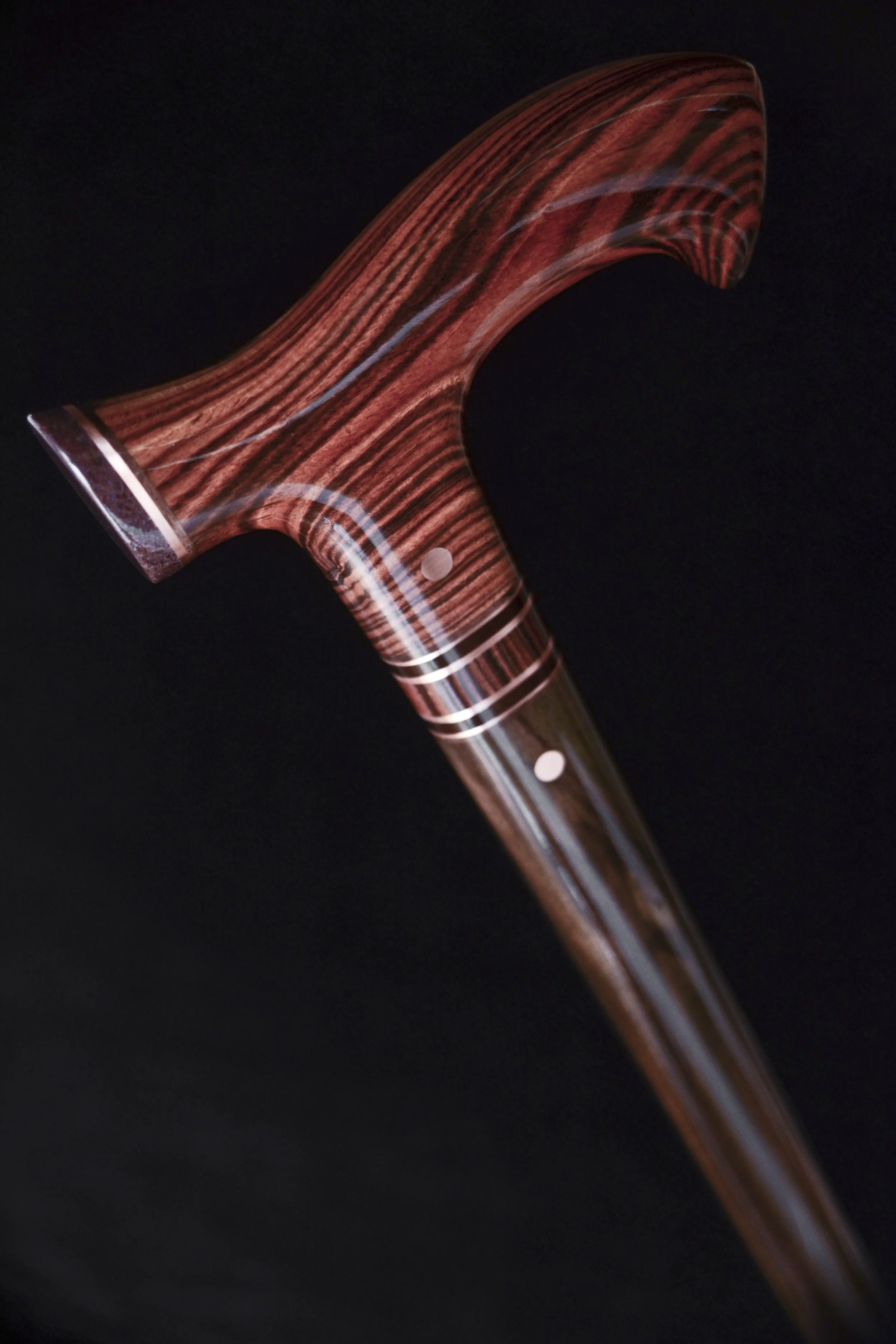 Kingwood, EIR, Gem Bone 5.jpg