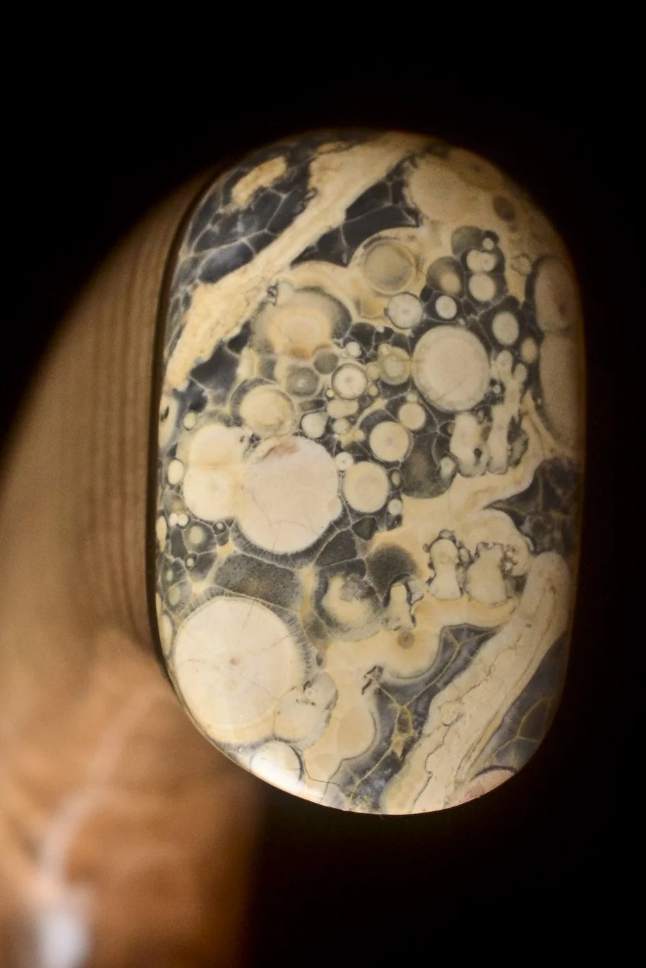 Marri, Leopardwood, Thompsonite  7.jpg