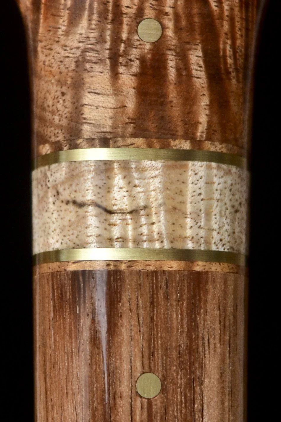 Tasmanian Blackwood 9.jpg