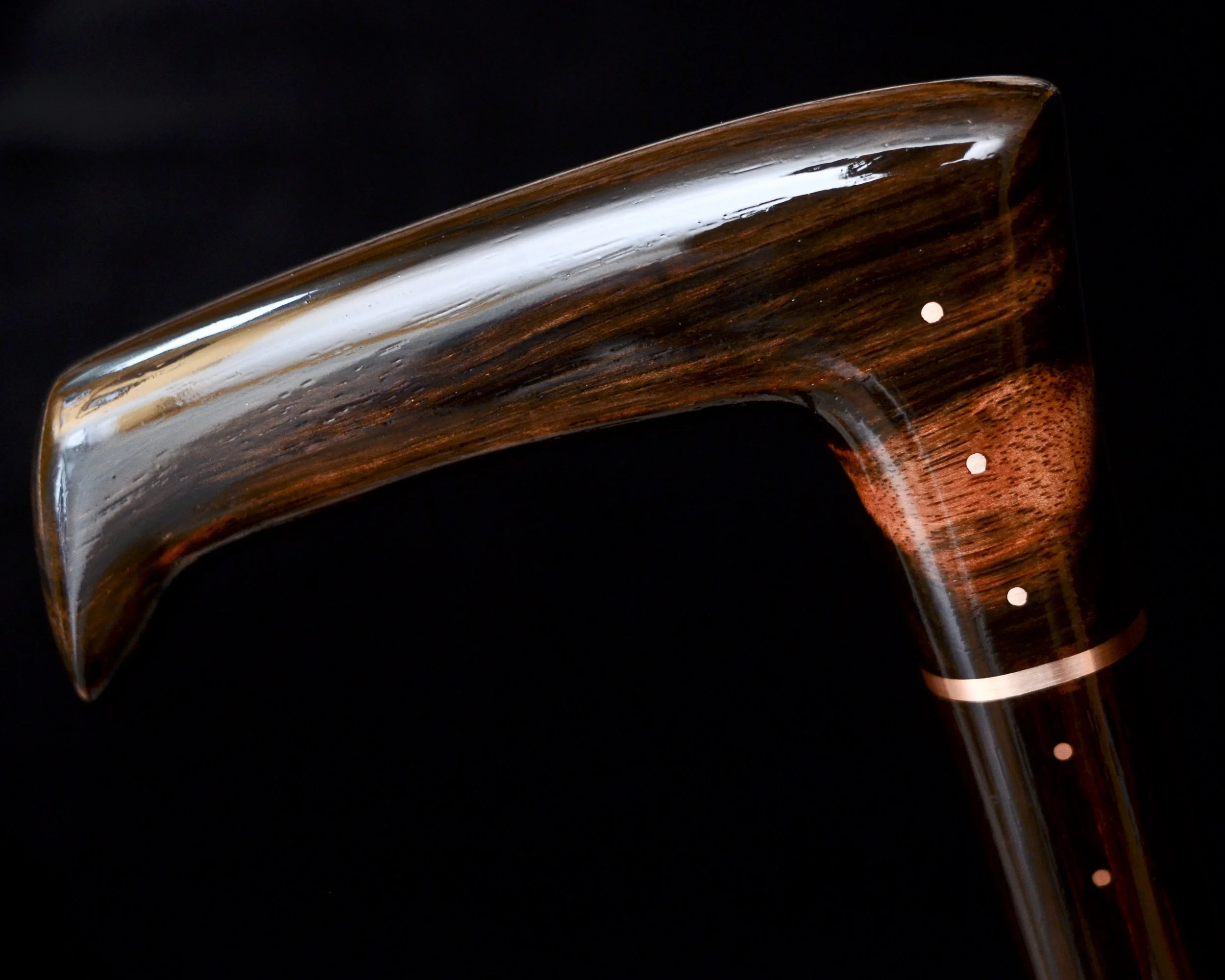 Ebony Modern 8.jpg