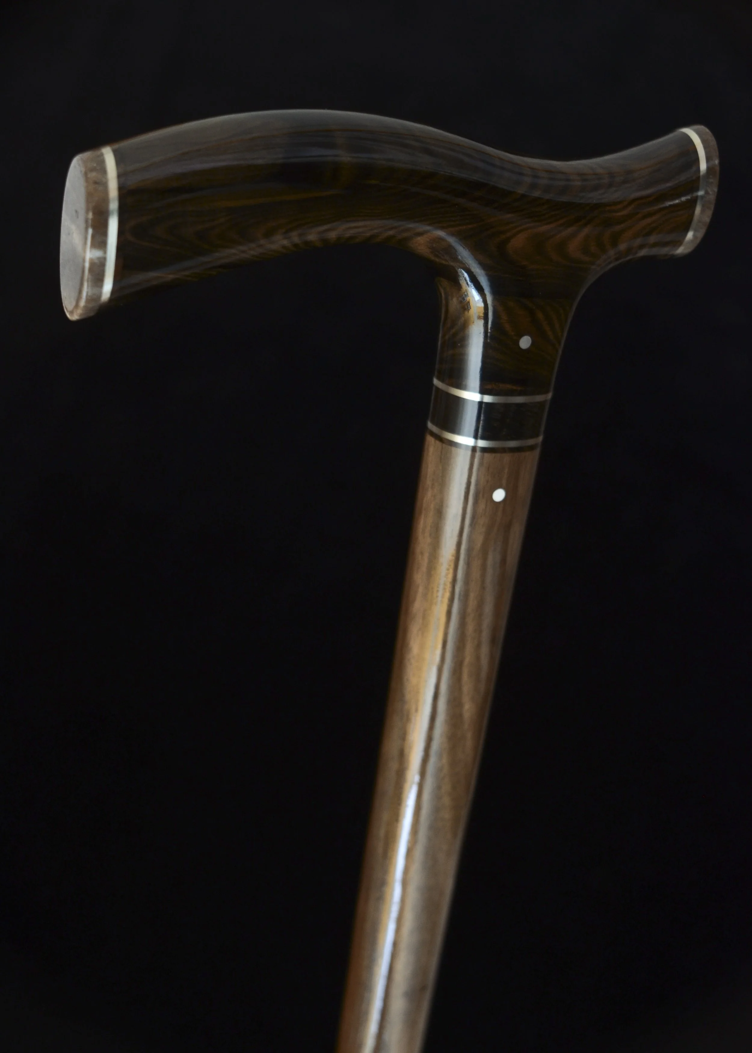 Mun Ebony, Kalimantan Ebony, Dinosaur Bone 6.jpg