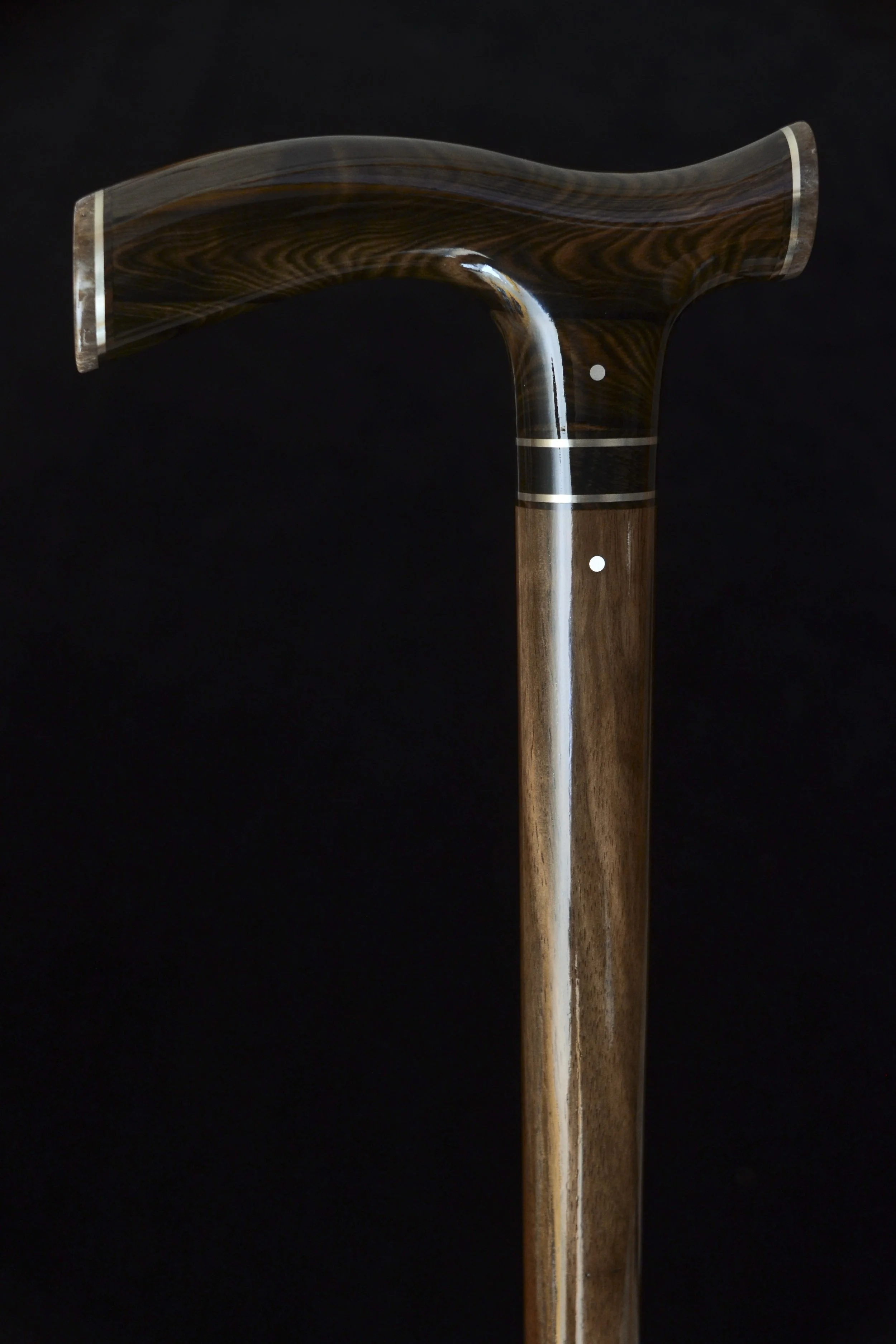 Mun Ebony, Kalimantan Ebony, Dinosaur Bone 2.jpg