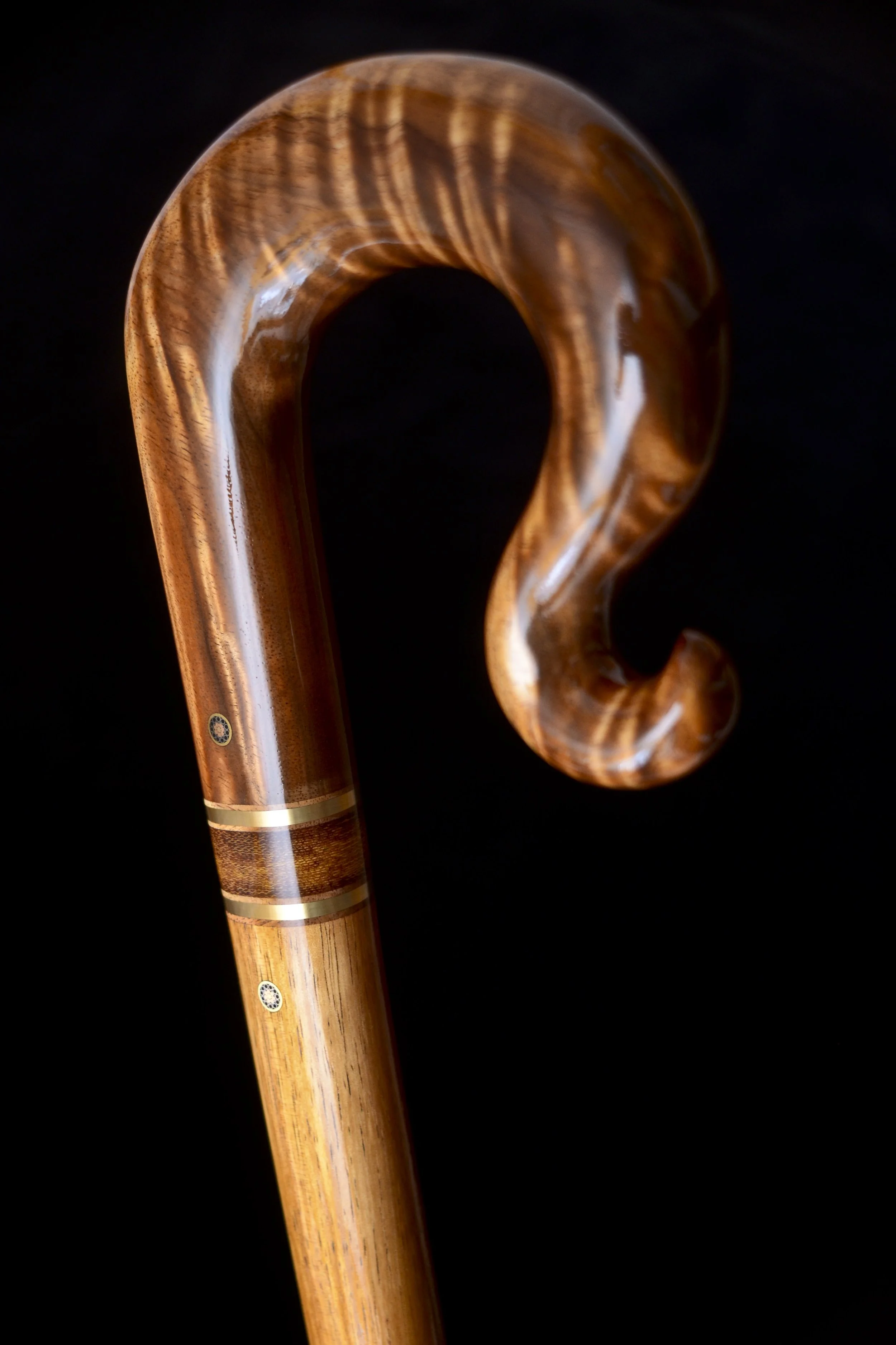 Tasmanian Blackwood, Koa 4.jpg