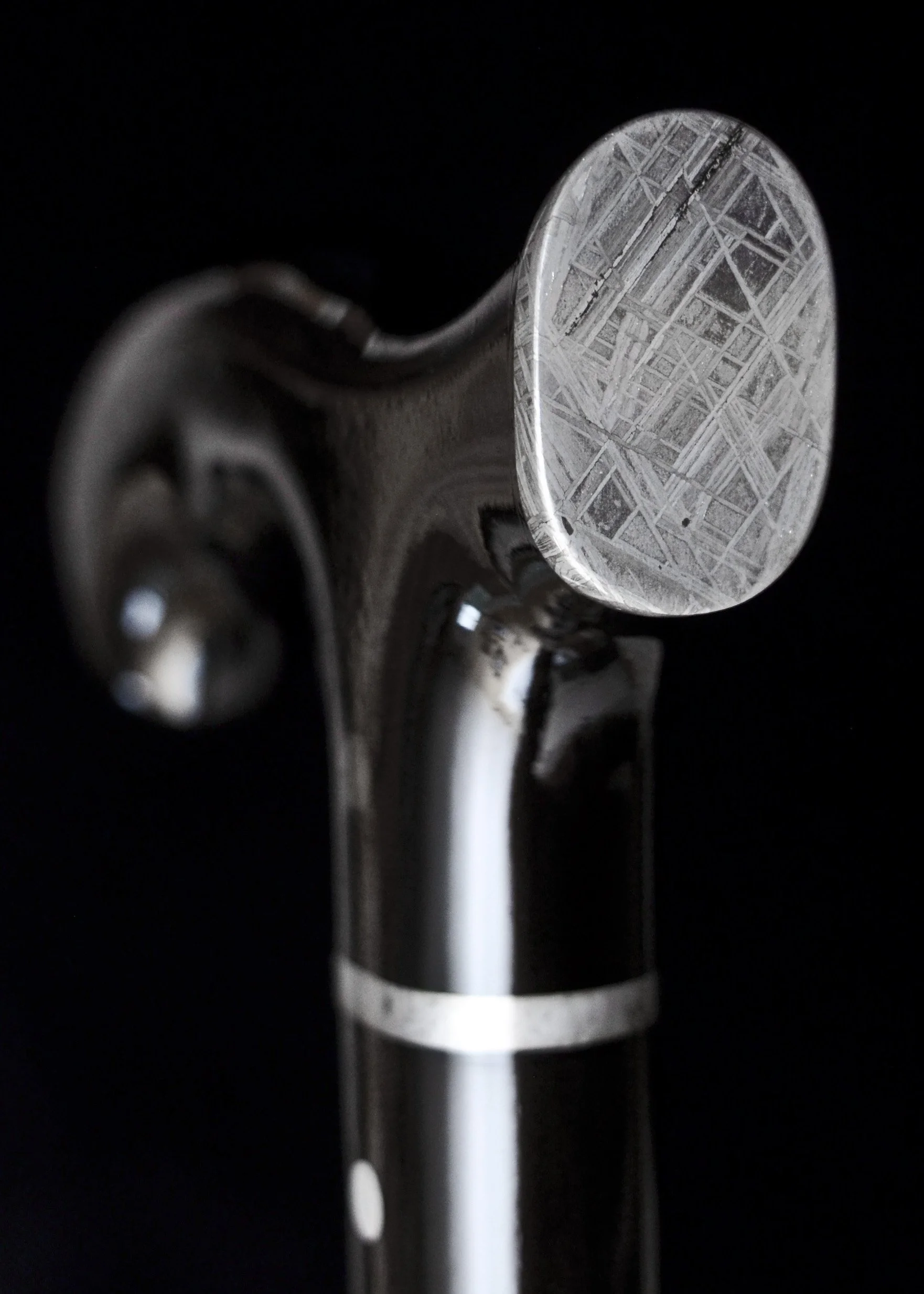 Ebony, Meteorite 10.jpg