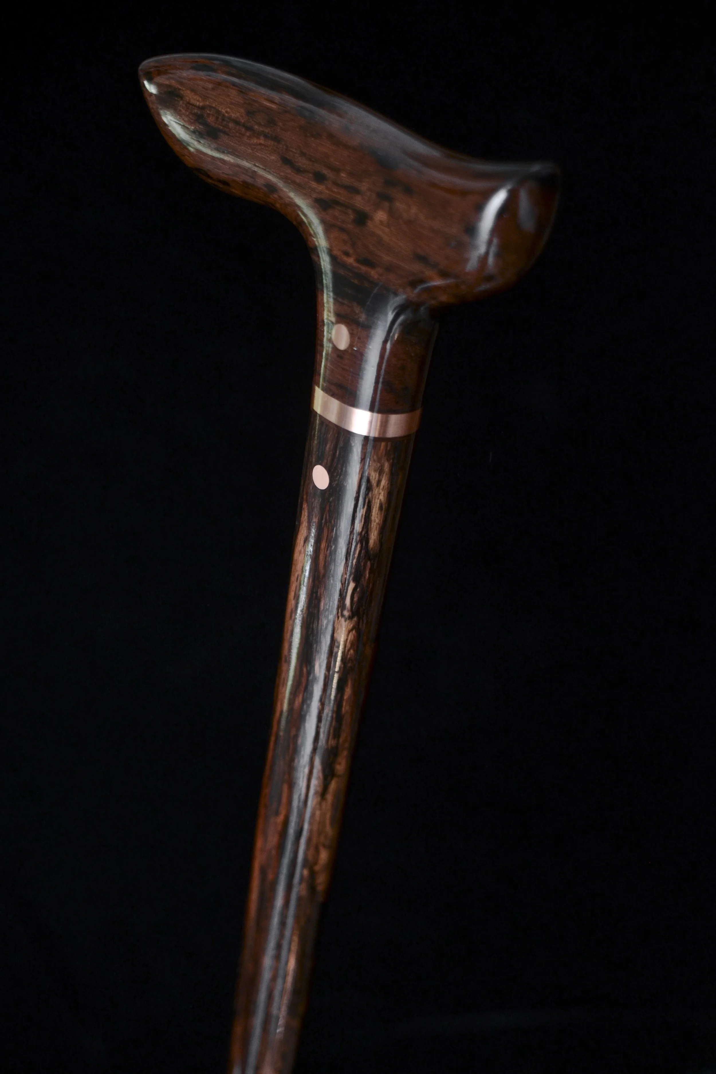 Lanceolaria 3.jpg