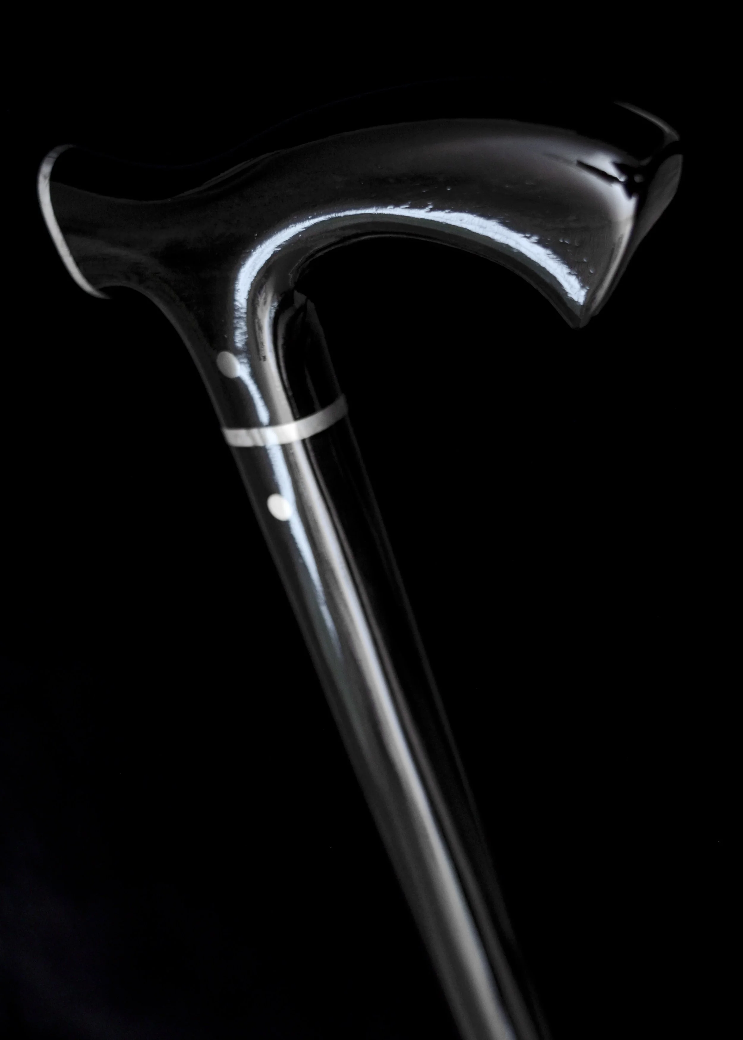 Ebony, Meteorite 3.jpg