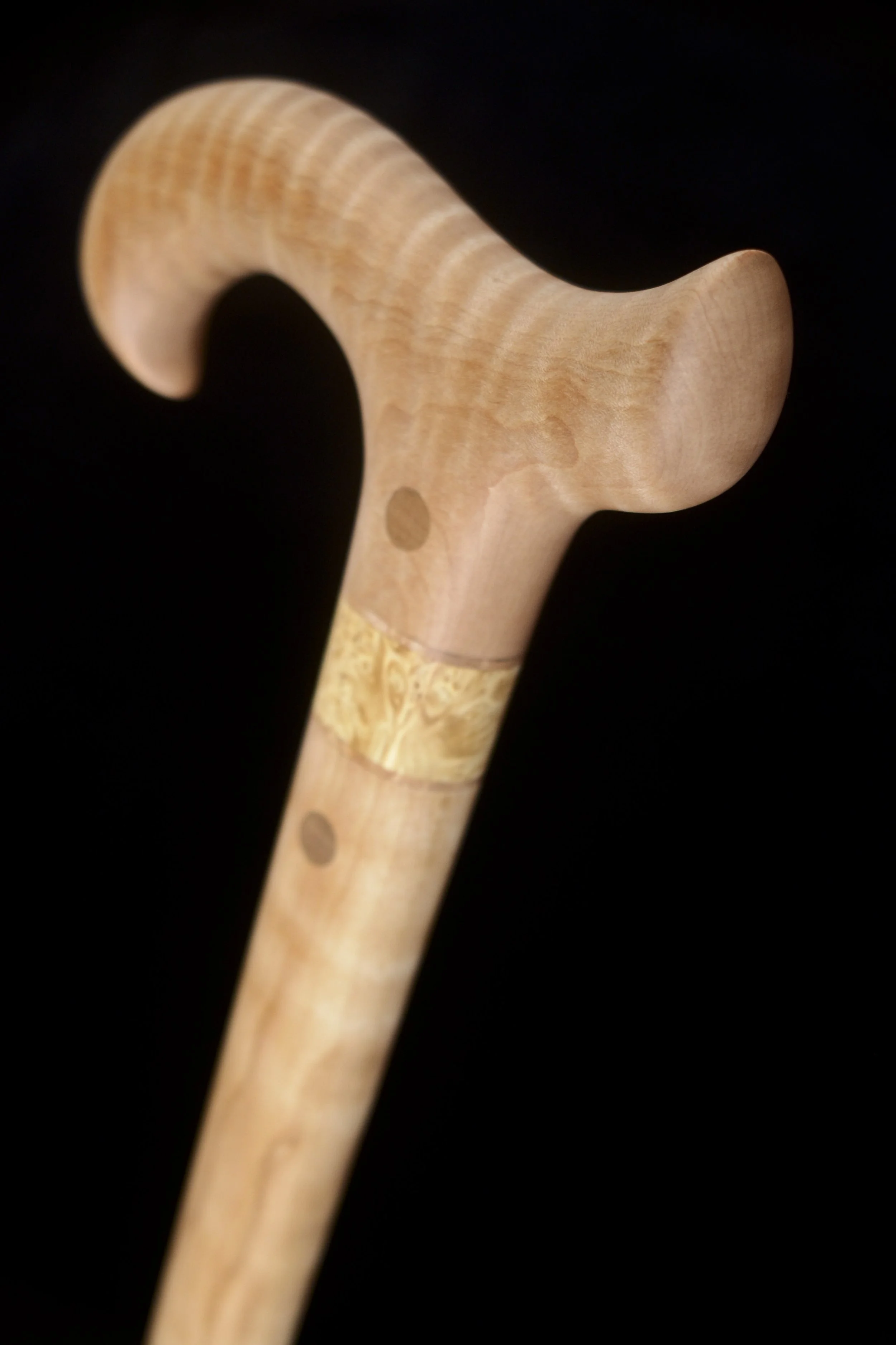 Maple birch 3.jpg