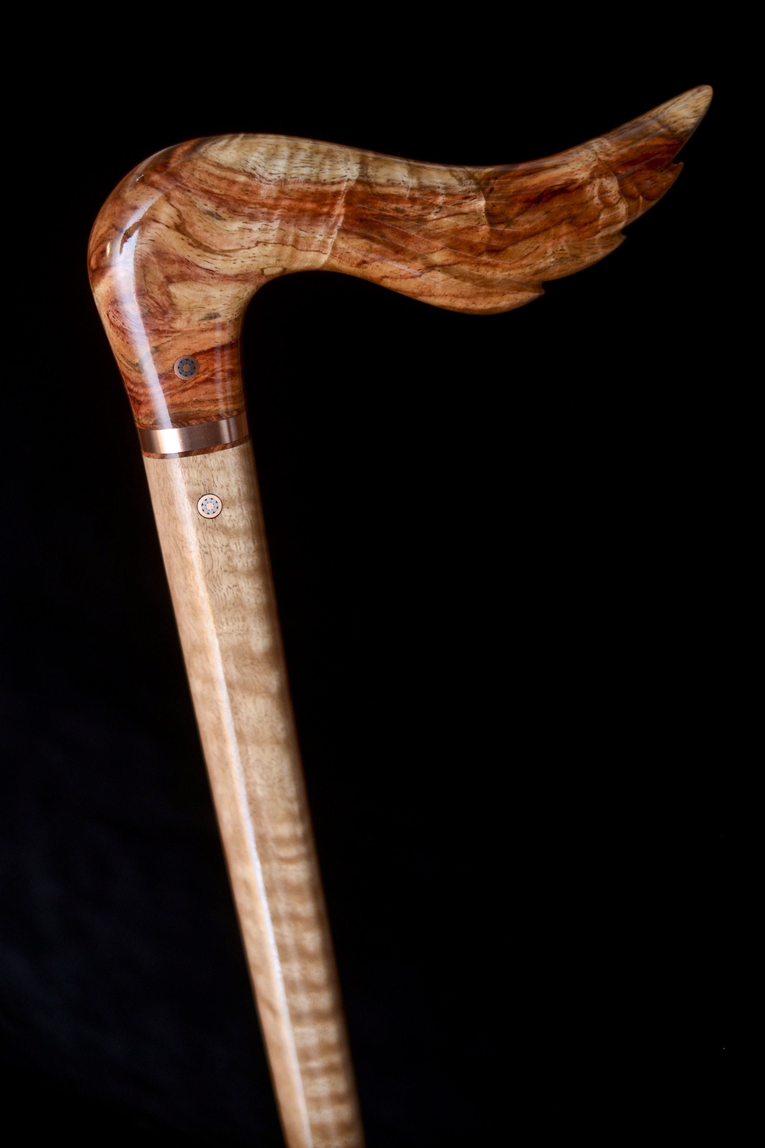 Hainan Rosewood, Eucalyptus 1.jpg