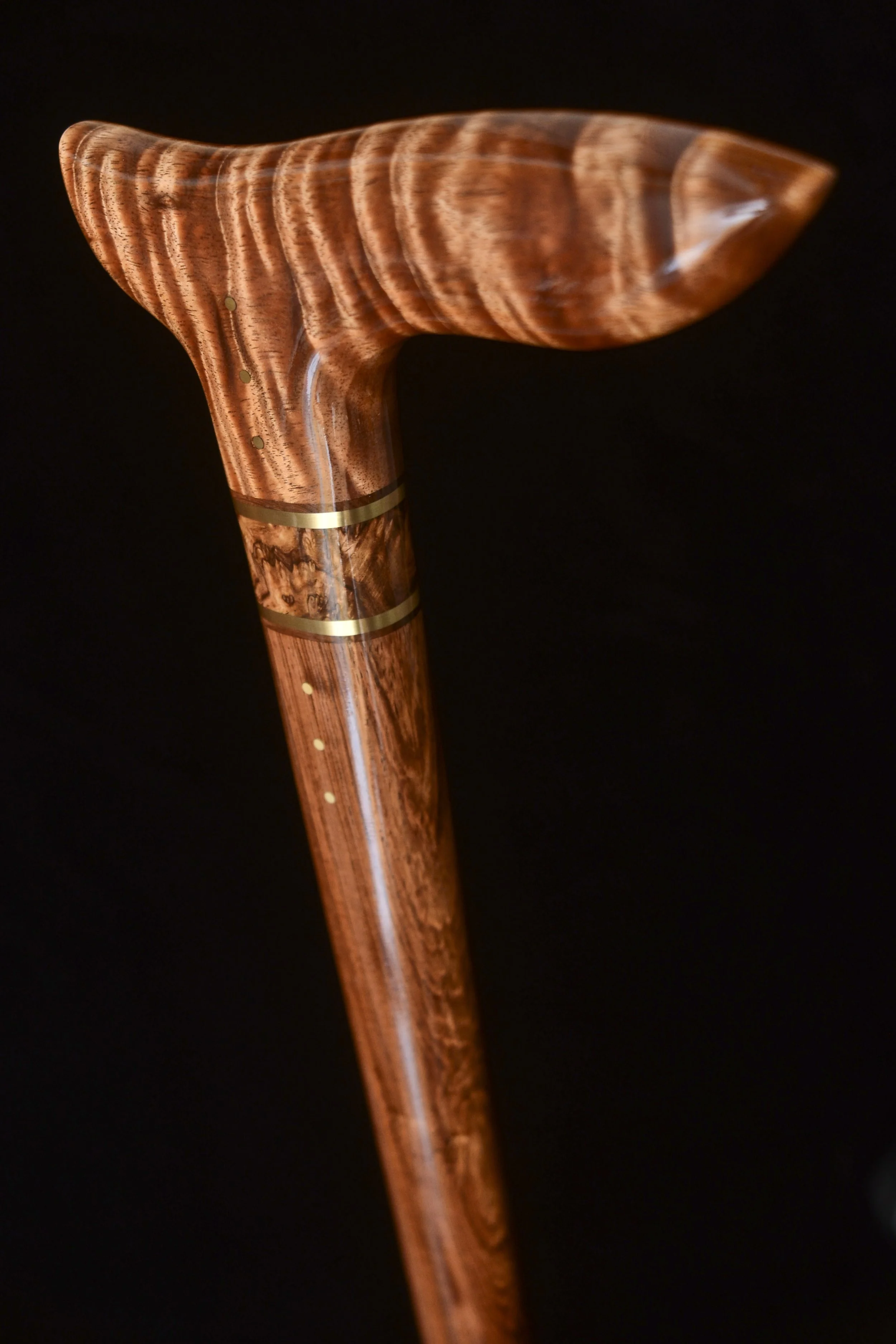 Blackwood, Honduran 4.jpg