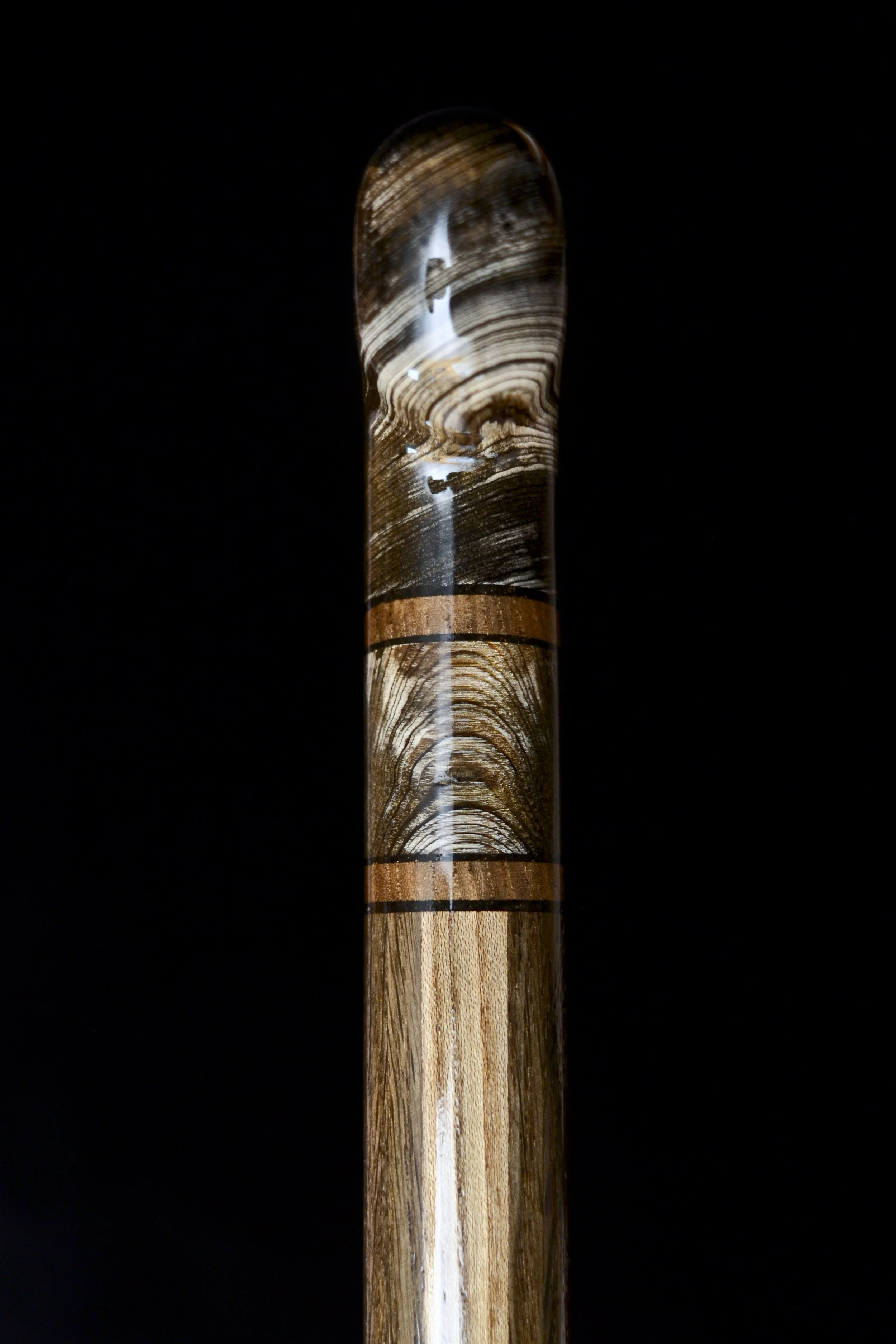 Sinker Cypress, Bog Oak, Jindai Nire, Dinosaur bone 14.jpg