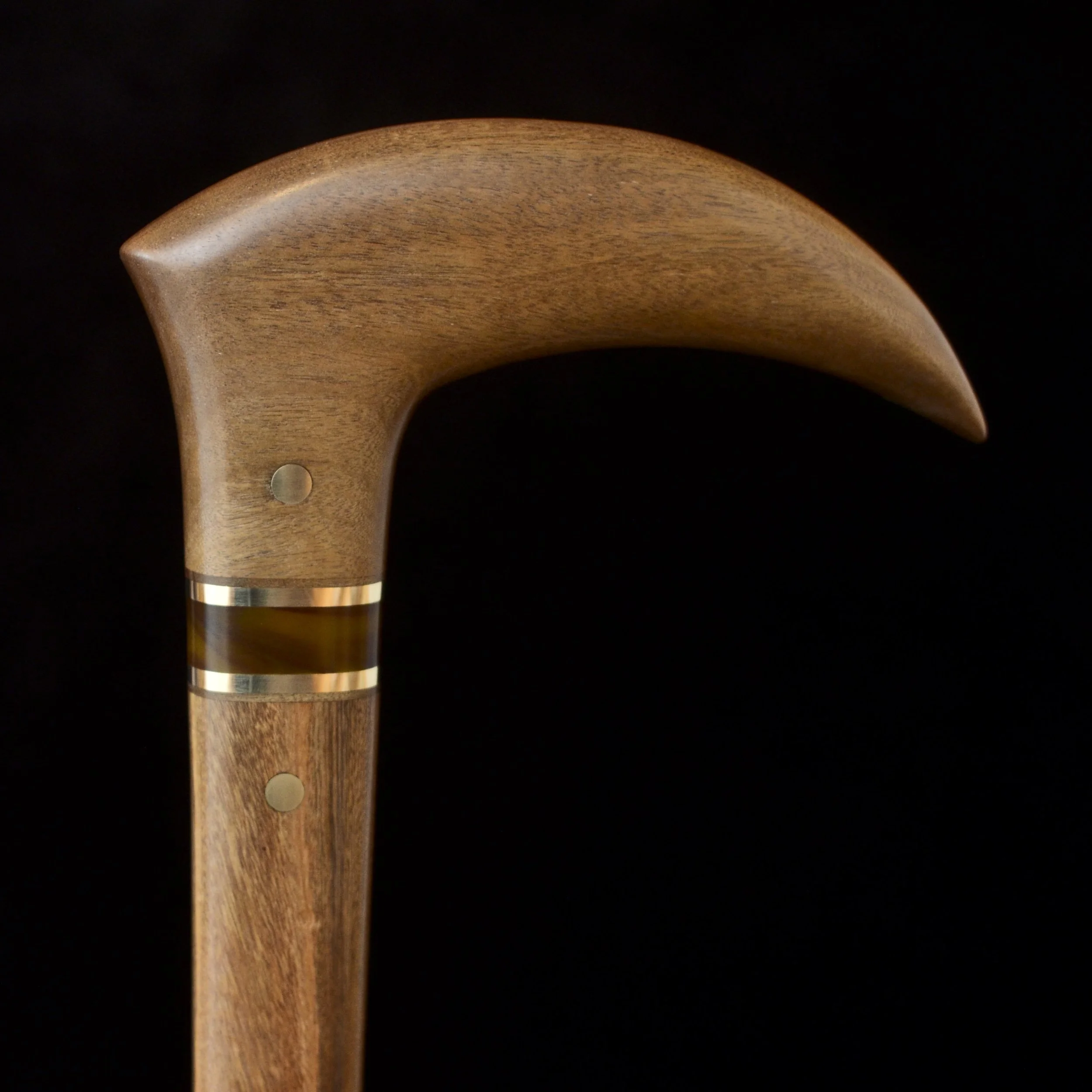 Bog Birch, Ipe 11.jpg