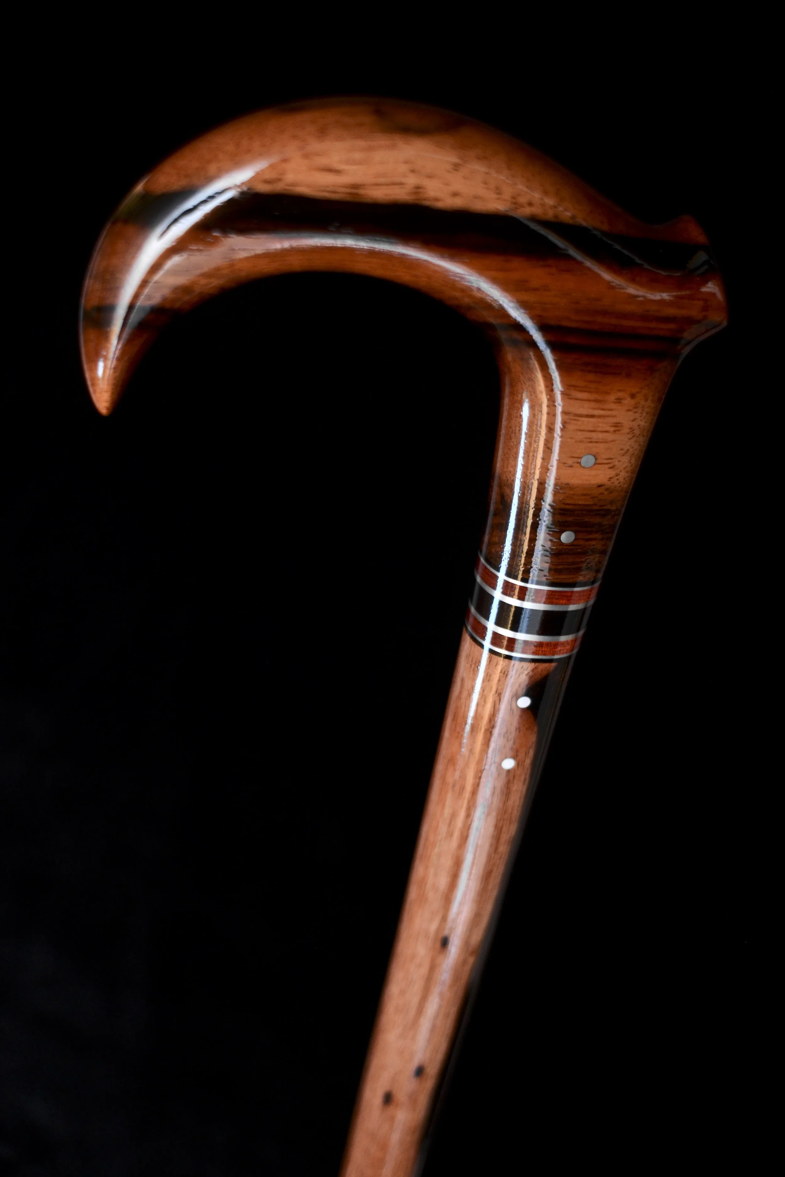 Macassar Claw 6.jpg