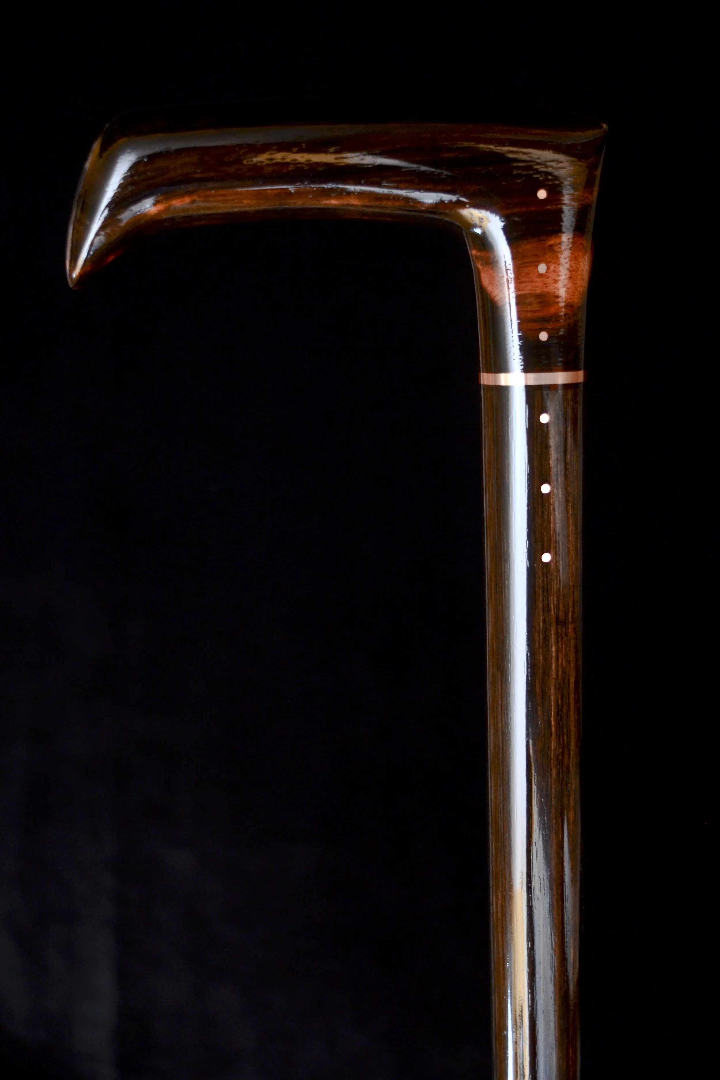 Ebony Modern 2.jpg