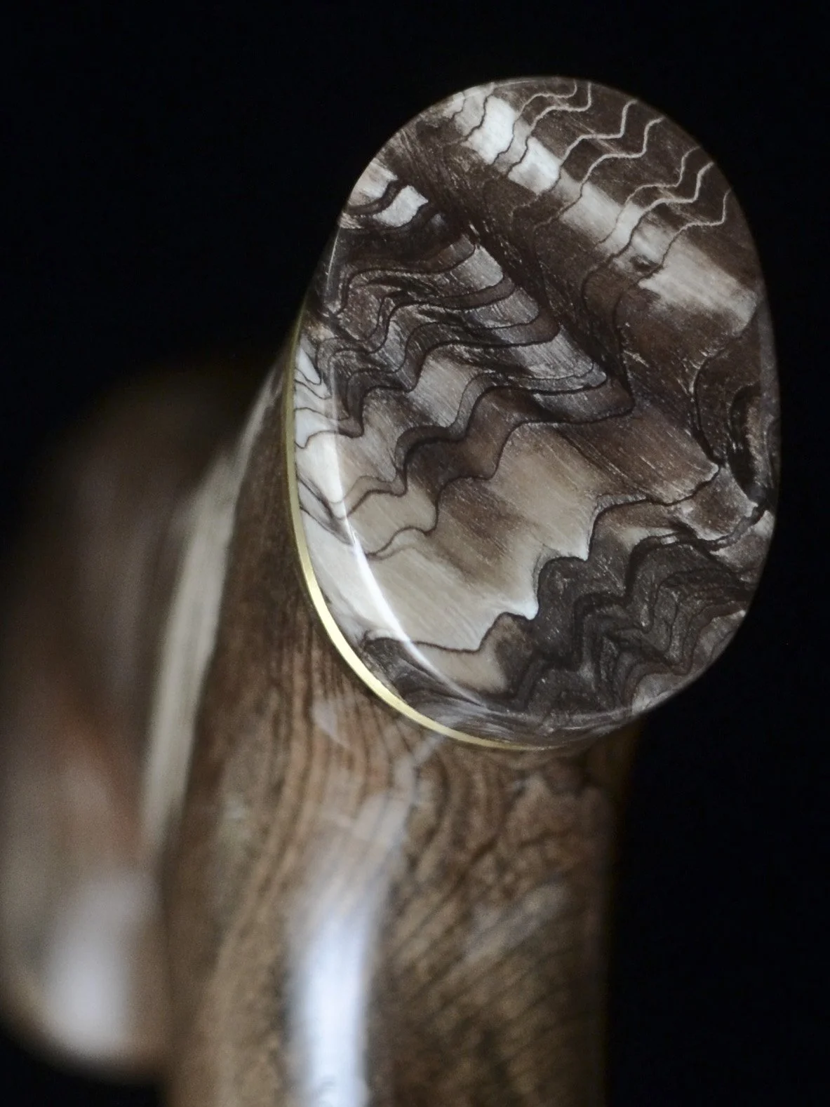 Jindai Sugi, Nire, Pet wood 10.jpg