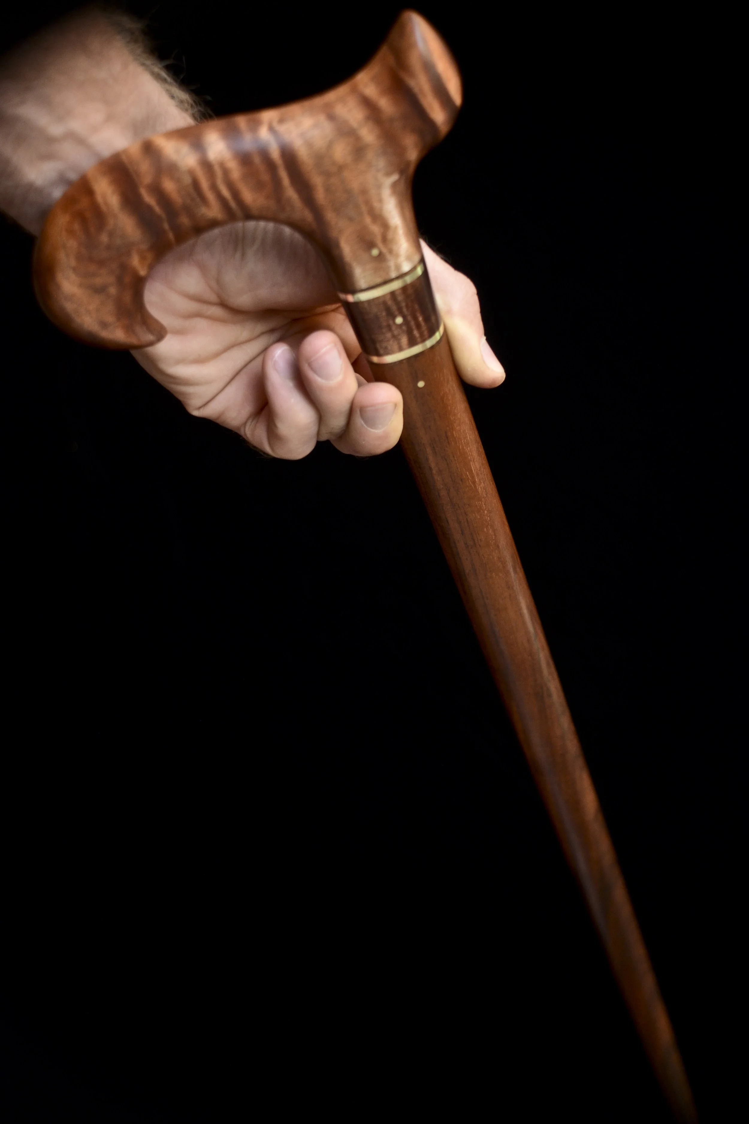 Tasmanian Blackwood, Tzalam 12.jpg