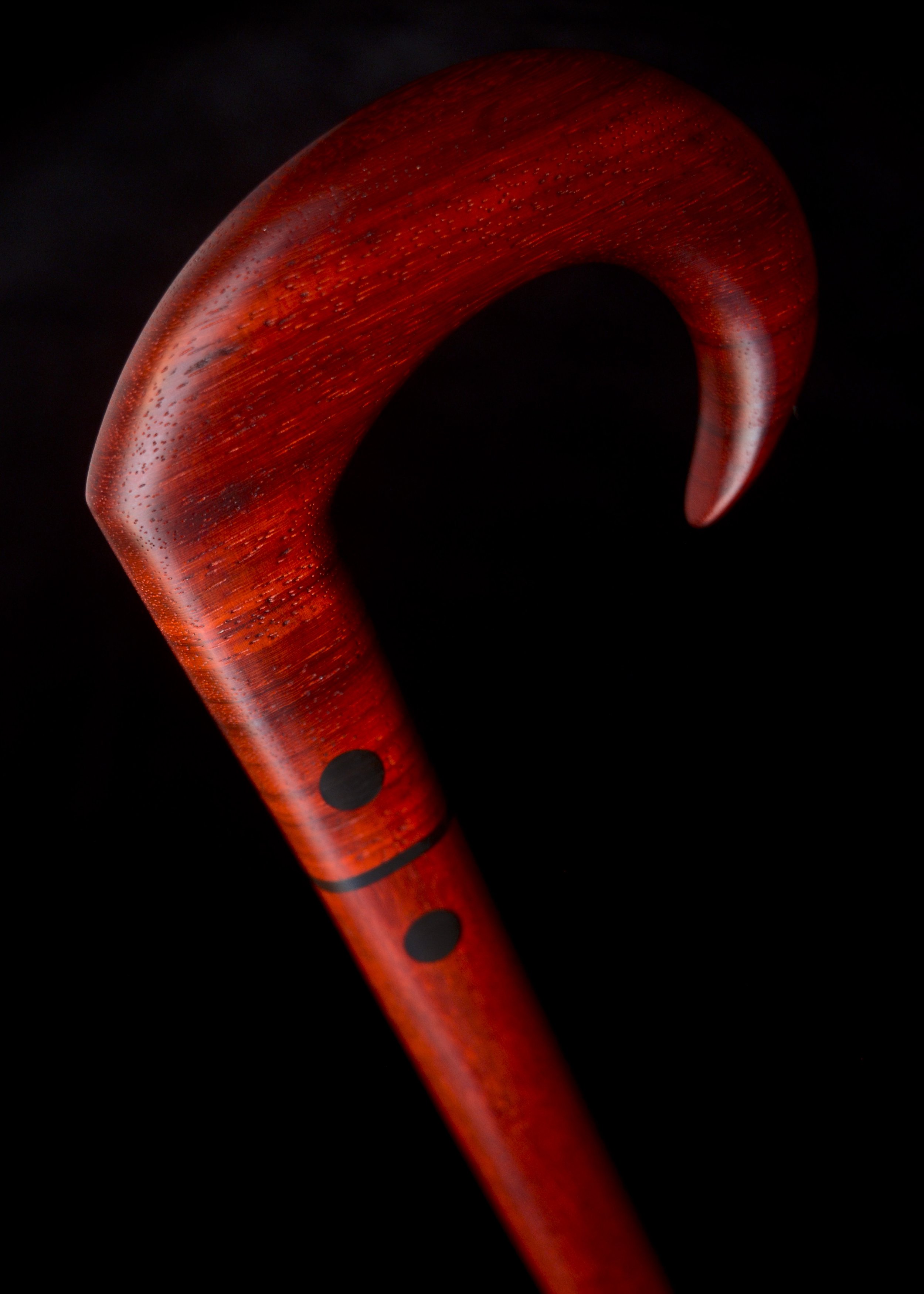 Padauk 7.jpg