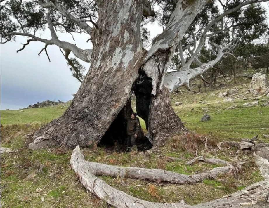 Screenshot 2026-01-17 110319.png