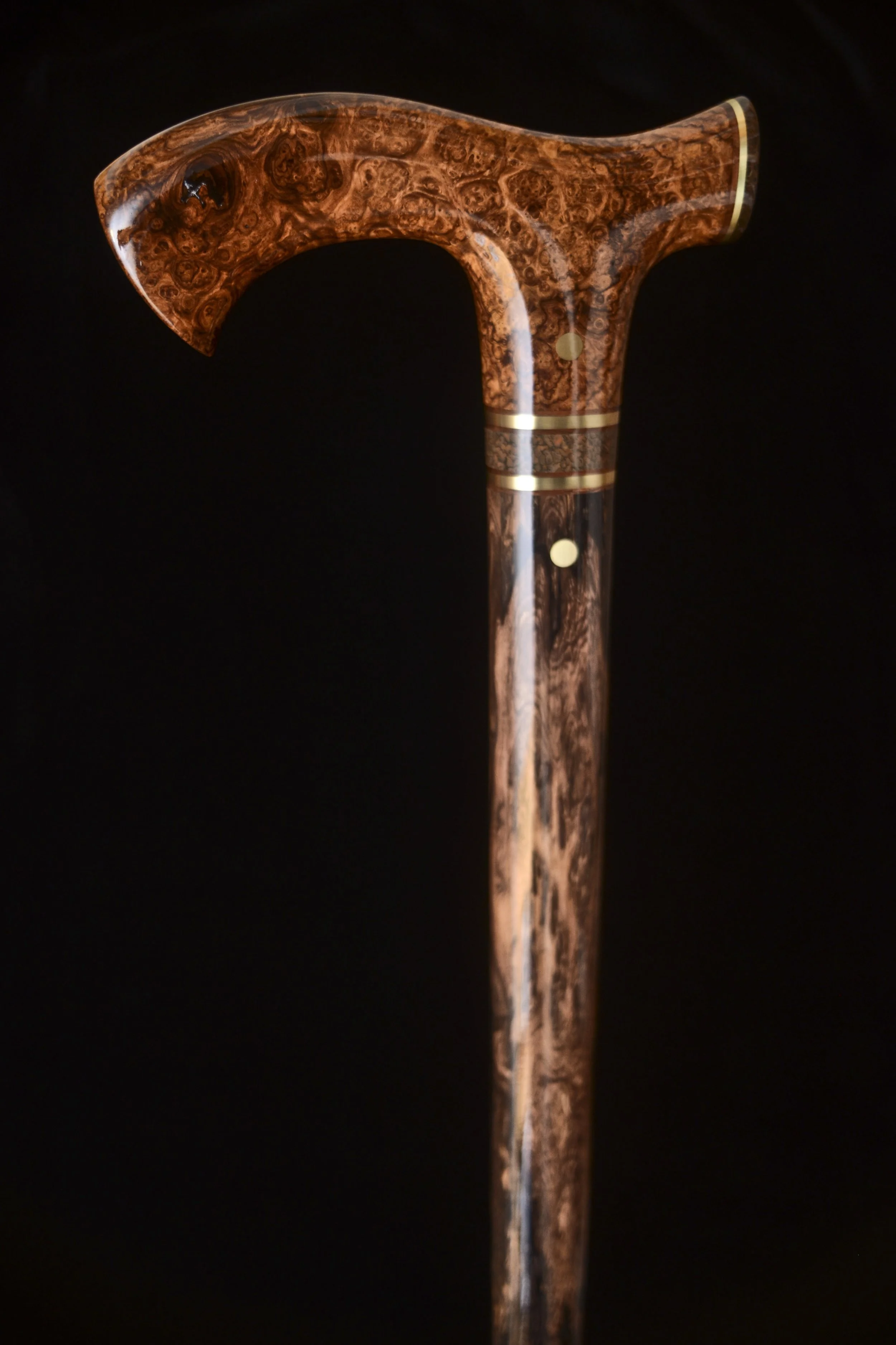 HRM, Lanceolaria, Meteorite NWA 15122 2.jpg