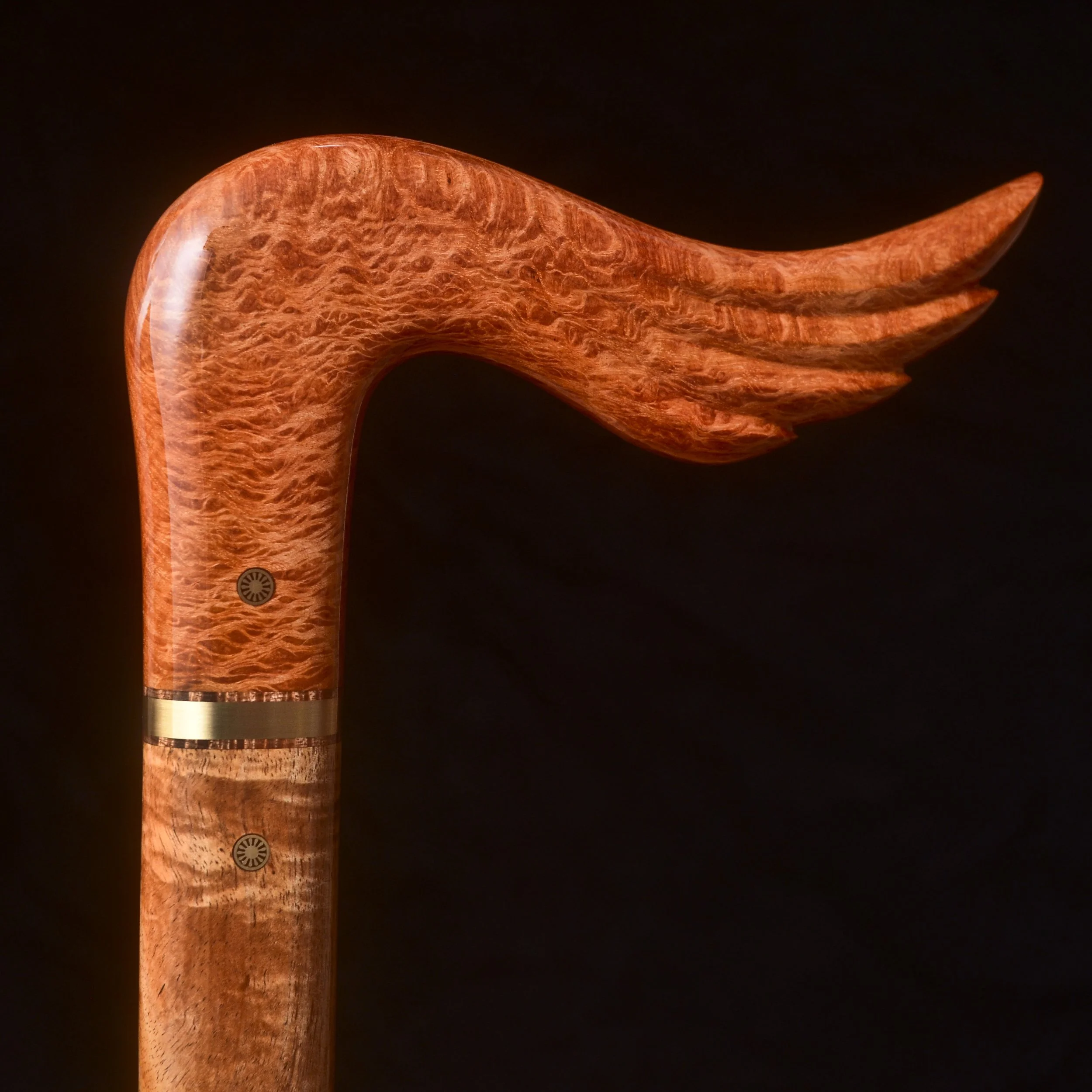 Sheoak, Tasmanian Blackwood 7.jpg