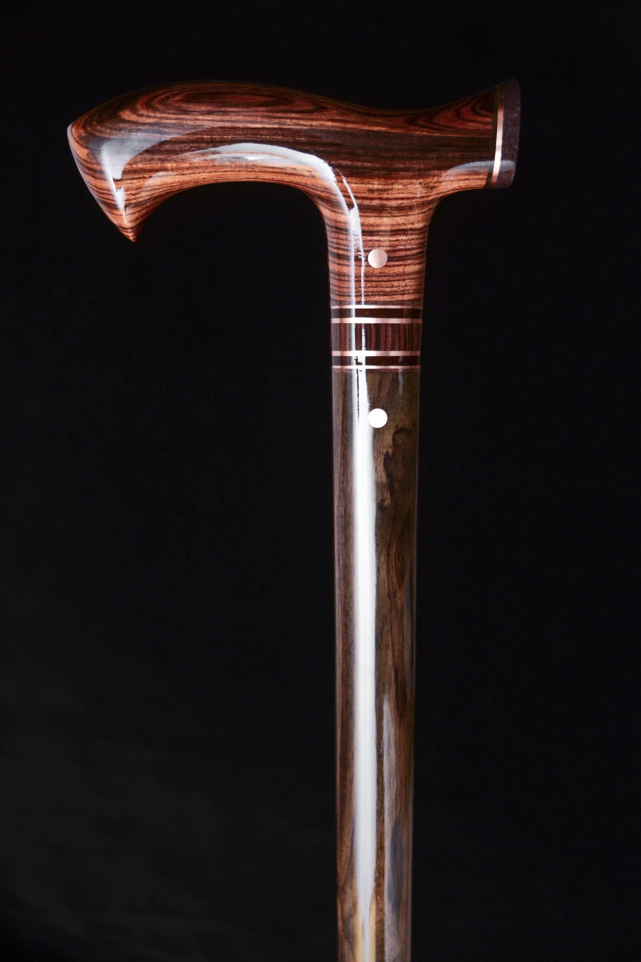 Kingwood, EIR, Gem Bone 2.jpg