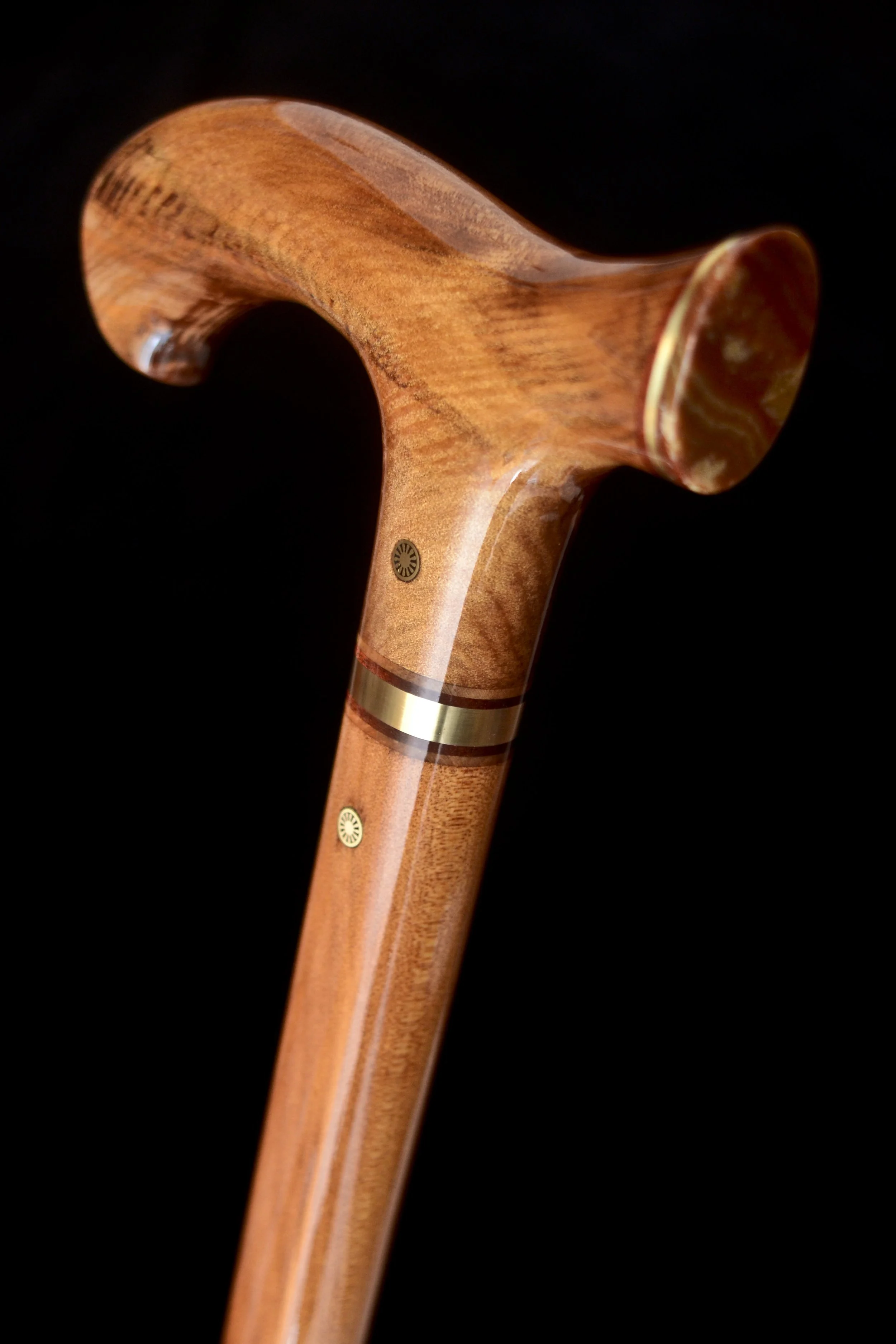 Ancient Kauri, Pet. Wood 3.jpg