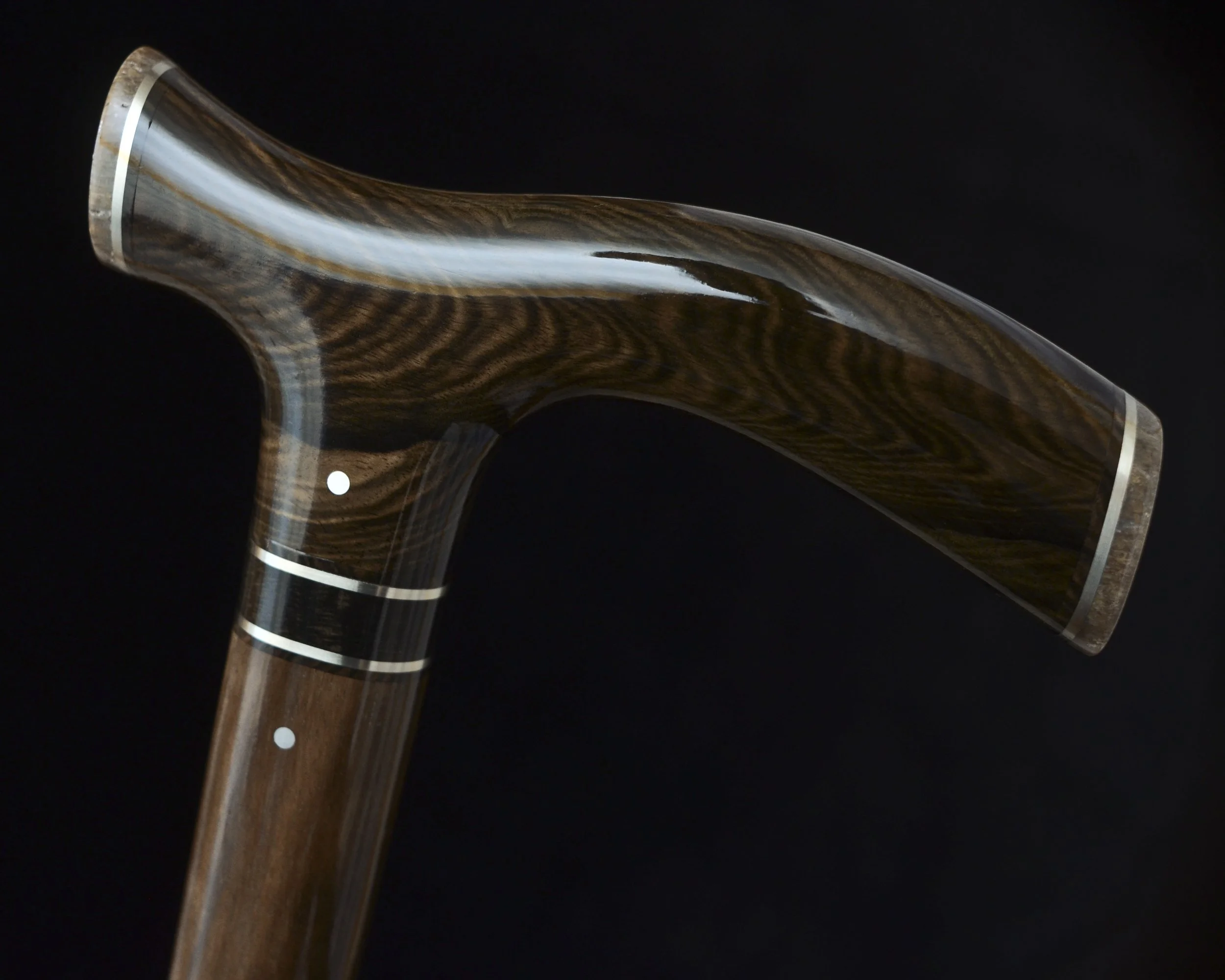 Mun Ebony, Kalimantan Ebony, Dinosaur Bone 7.jpg