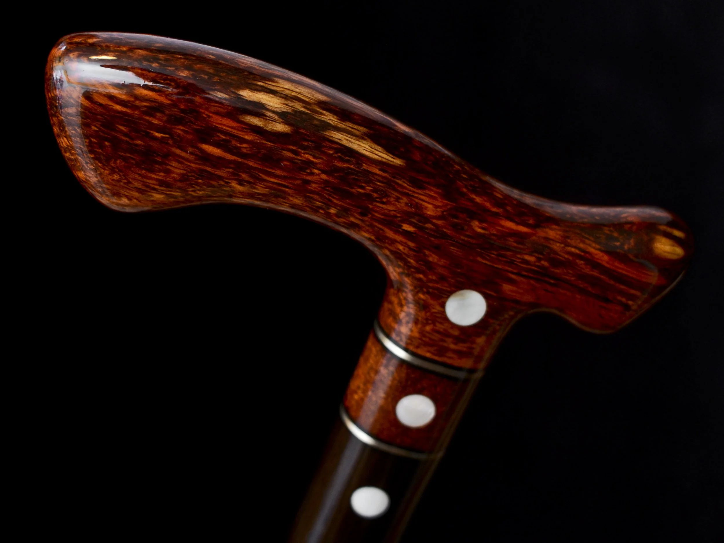 Flame Siam, Ebony 9.jpg