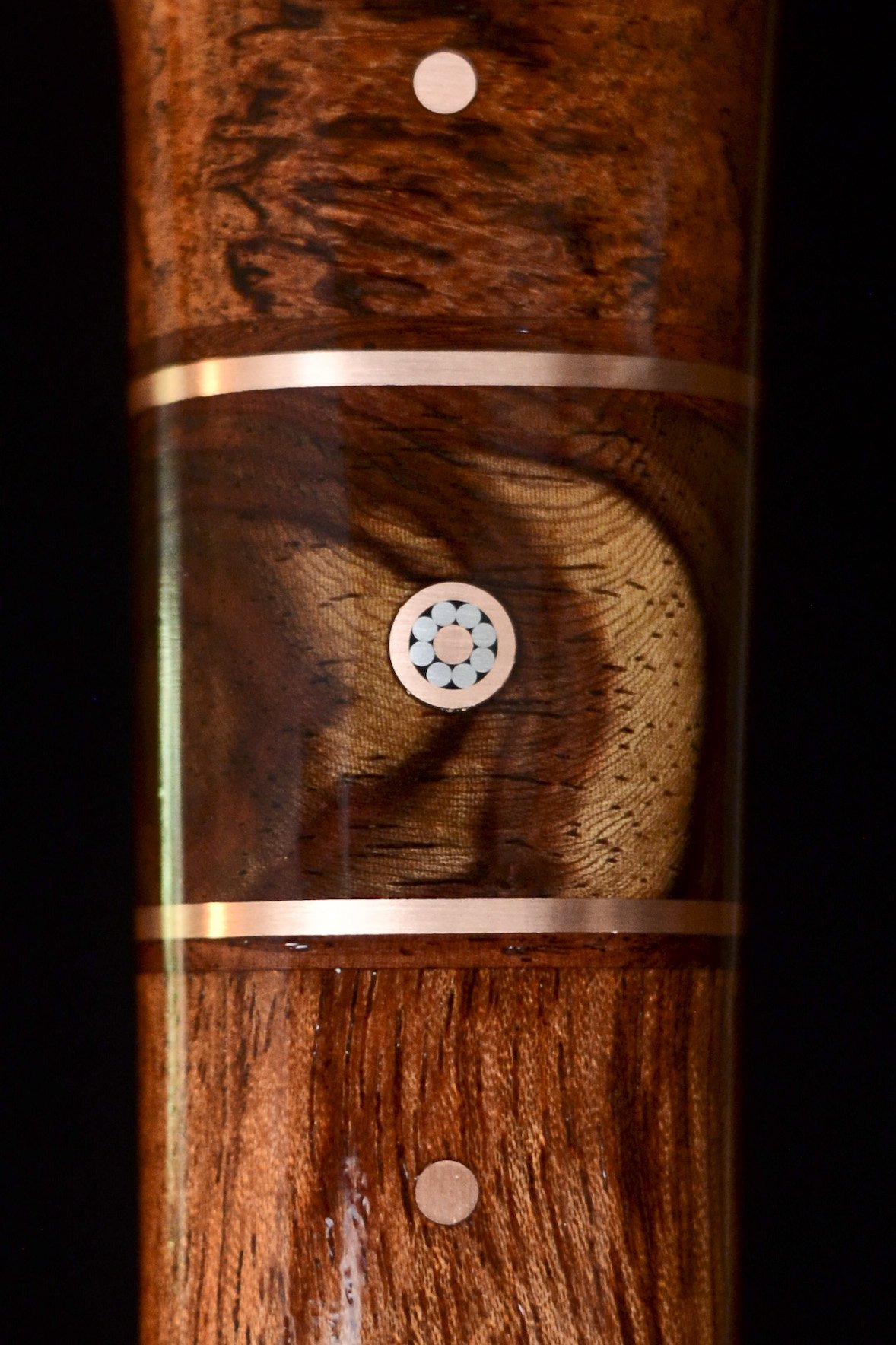 Bariensis Rosewood 12.jpg